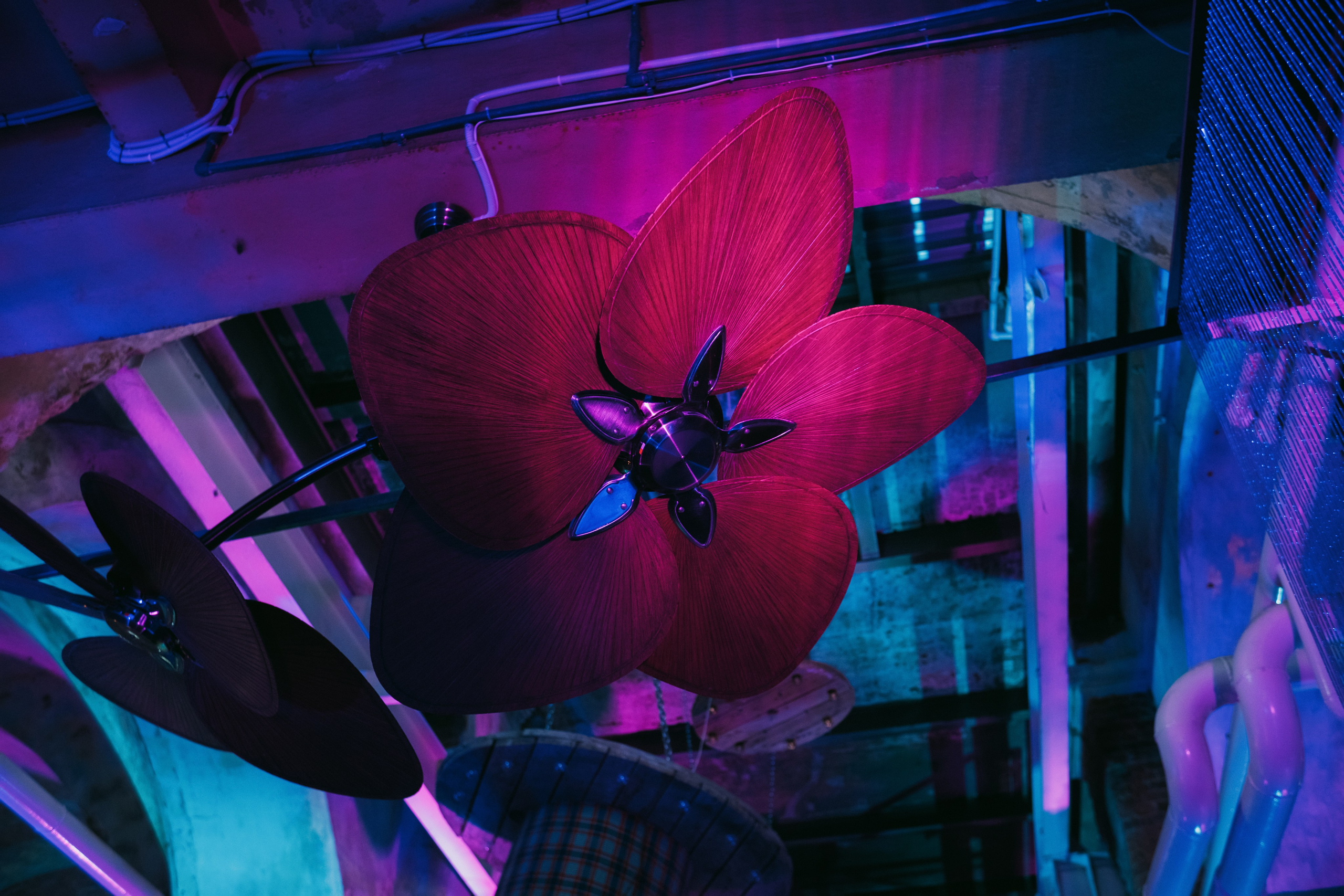 VK NIGHT SPb. Репортажный и портретный фотограф в Москве Илья Спиридонов