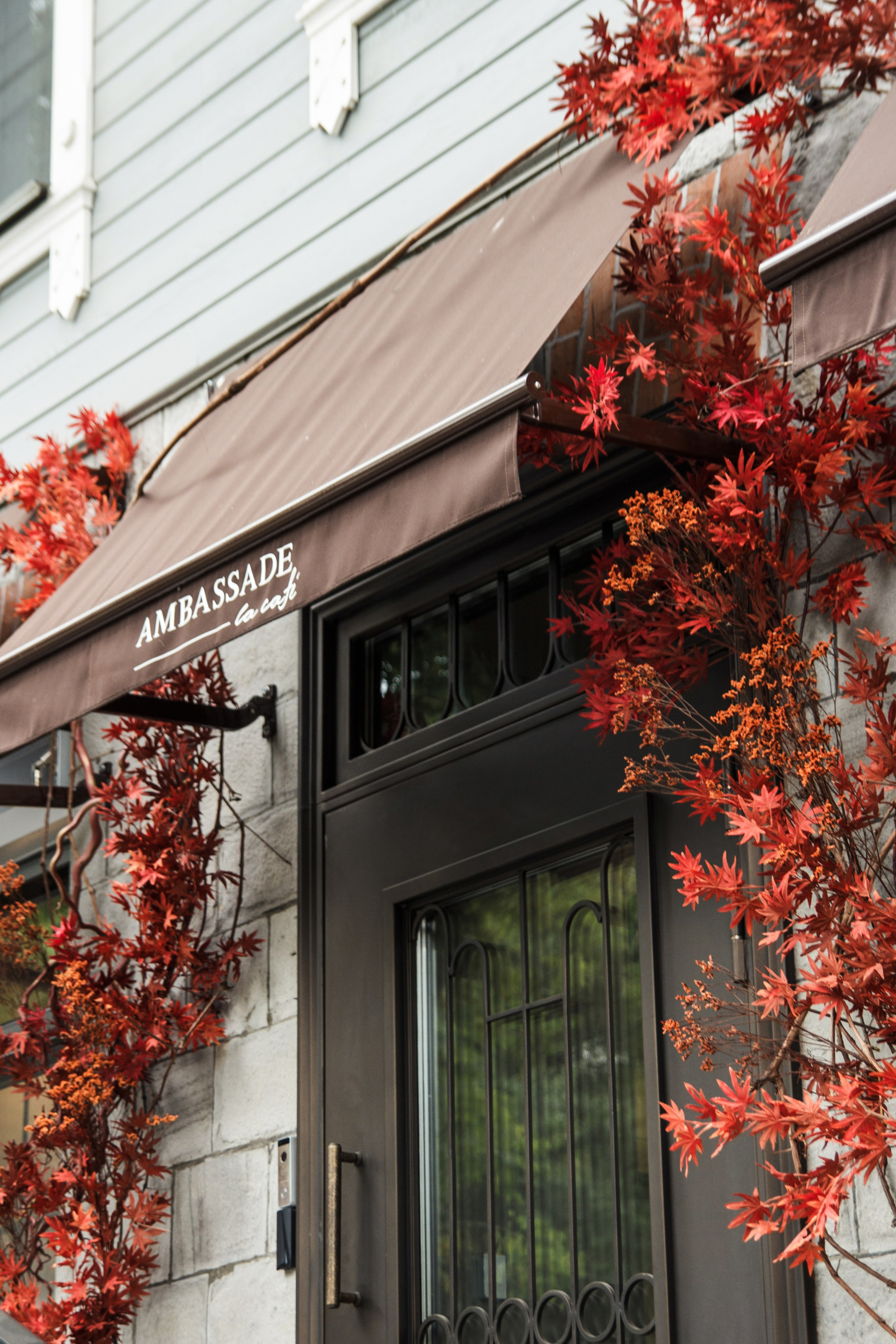 Аmbassade 2022. Ксения Почтарь. Декоратор и флорист, город Владивосток