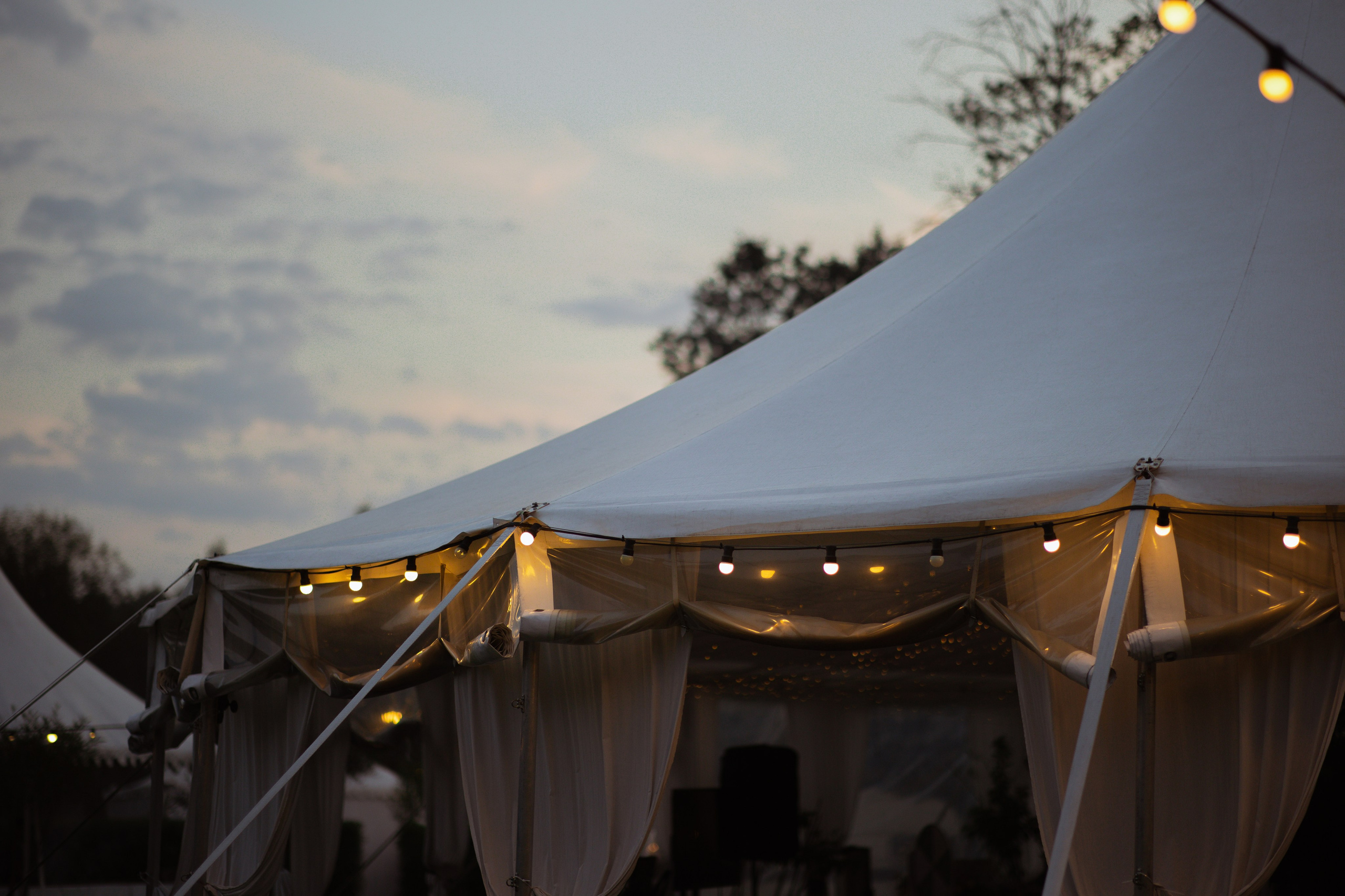 Minimalistic & Green: свадьба за городом. Свадебный фотограф Елена Рубцова