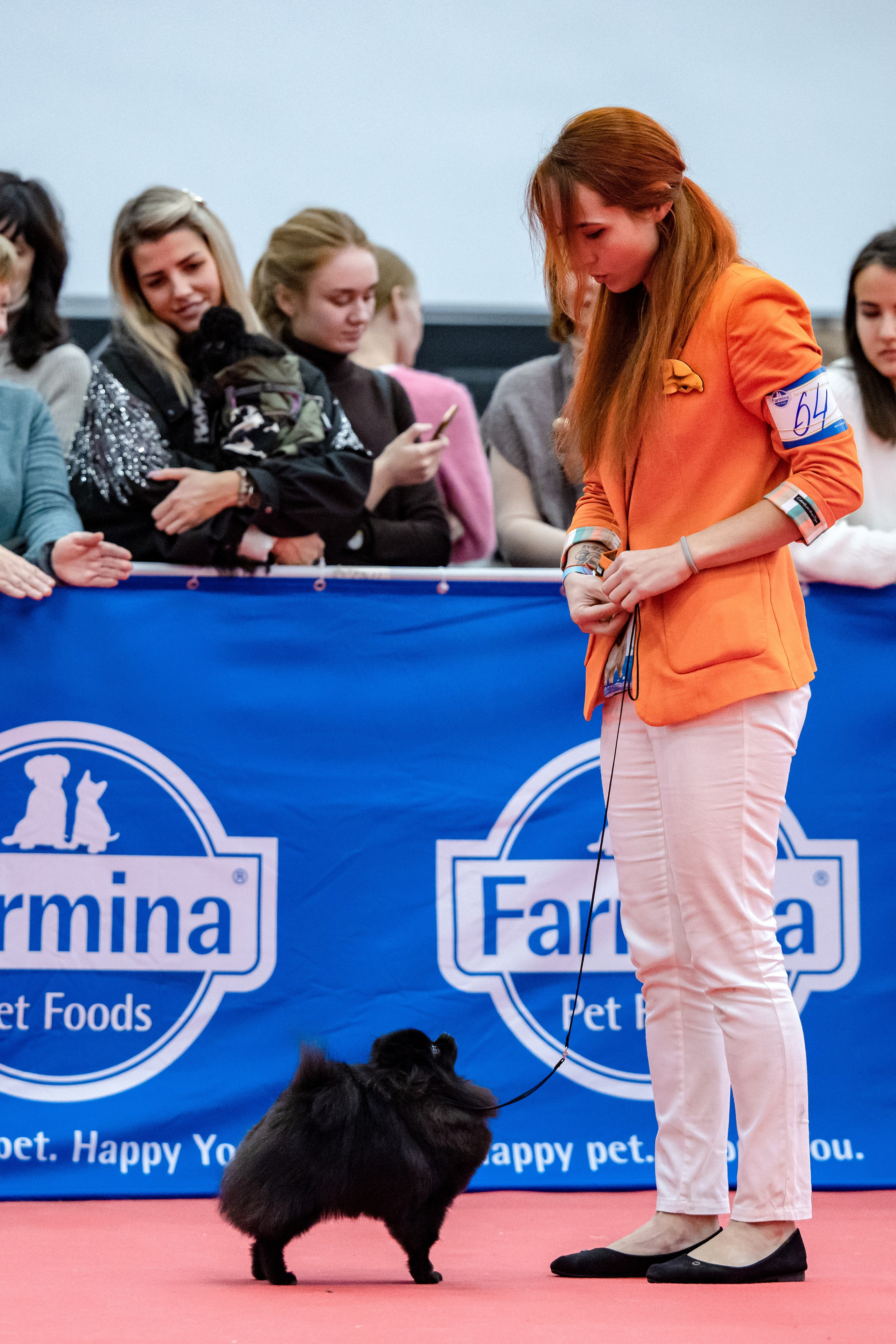 Нижний Новгород 21-22.10.2023. Фотограф-анималист Юлия Германика