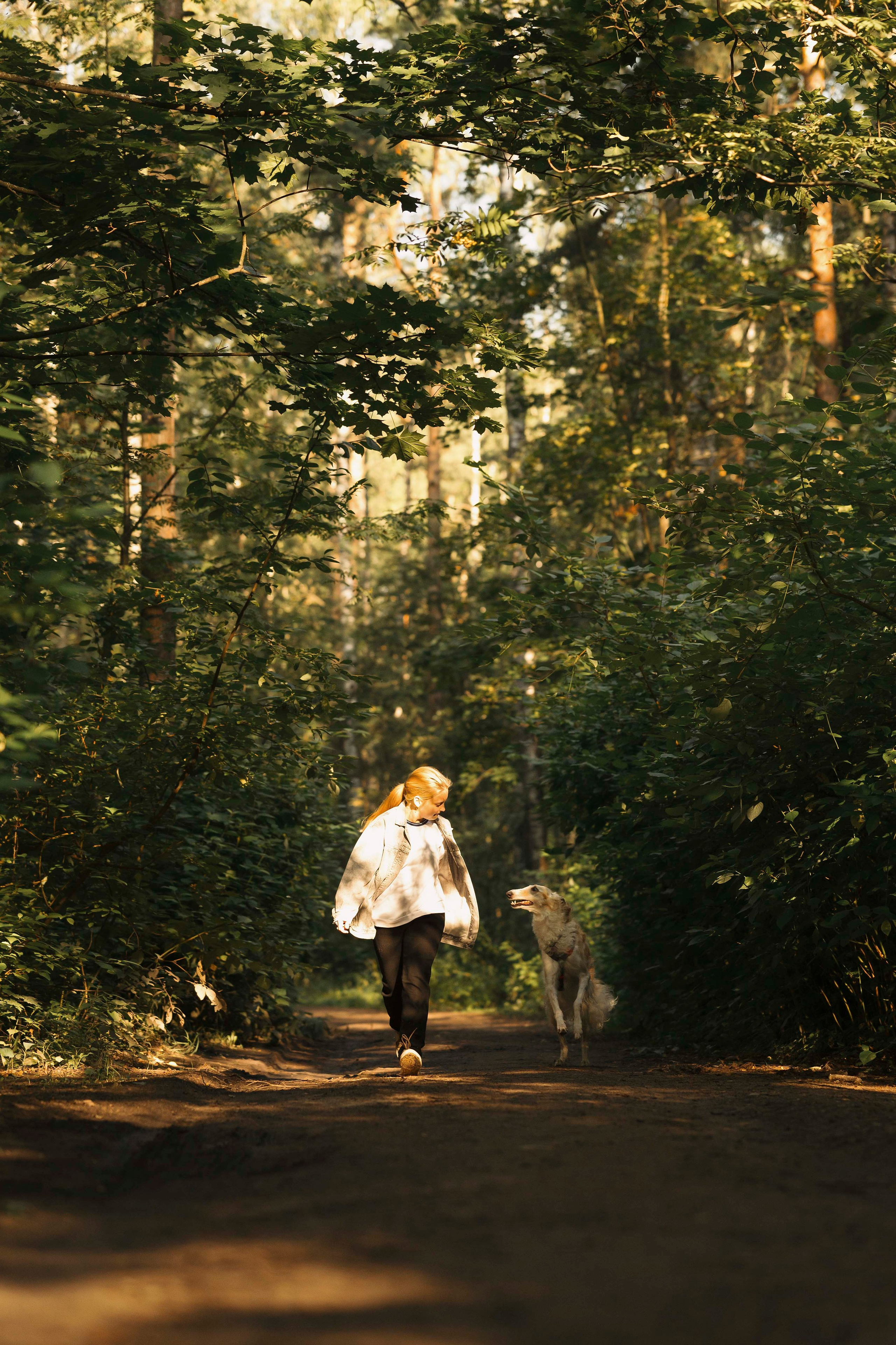 Тайга. Фотограф- анималист Александра Матвеева