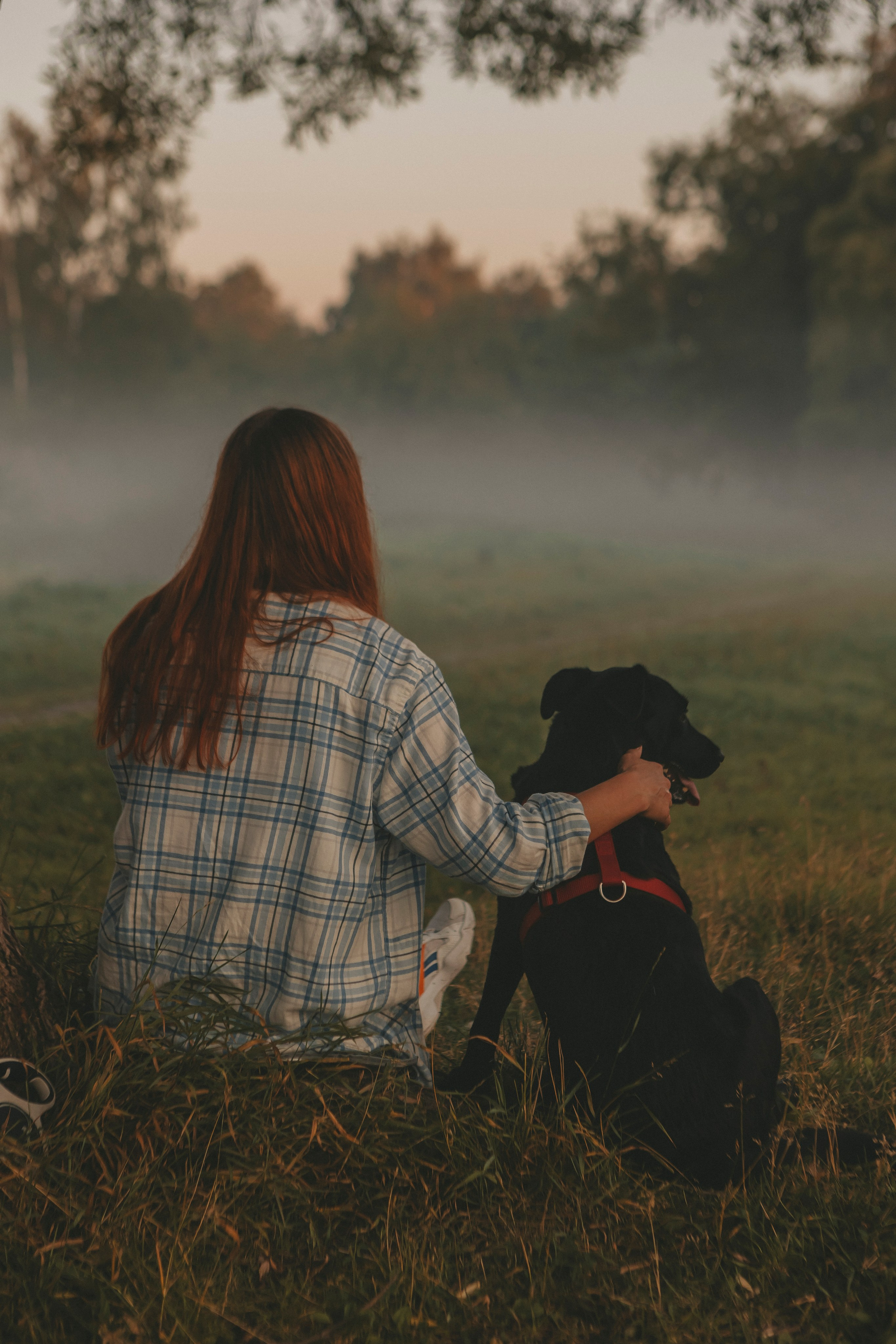 Саша и Дана. Фотограф-анималист в Санкт-Петербурге Алина Яхонт