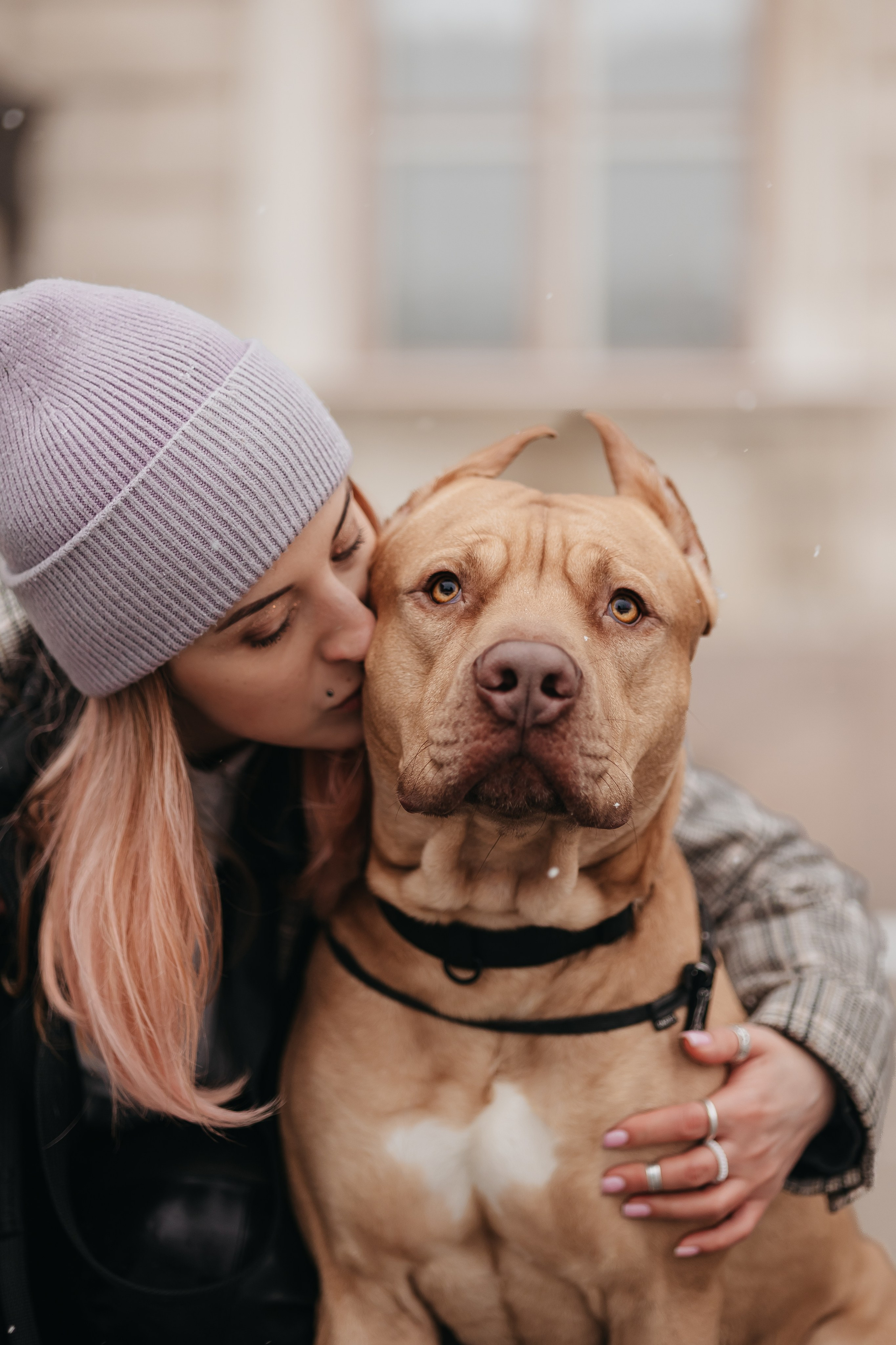 Саша, Света и Ицар. Фотограф-анималист в Санкт-Петербурге Алина Яхонт
