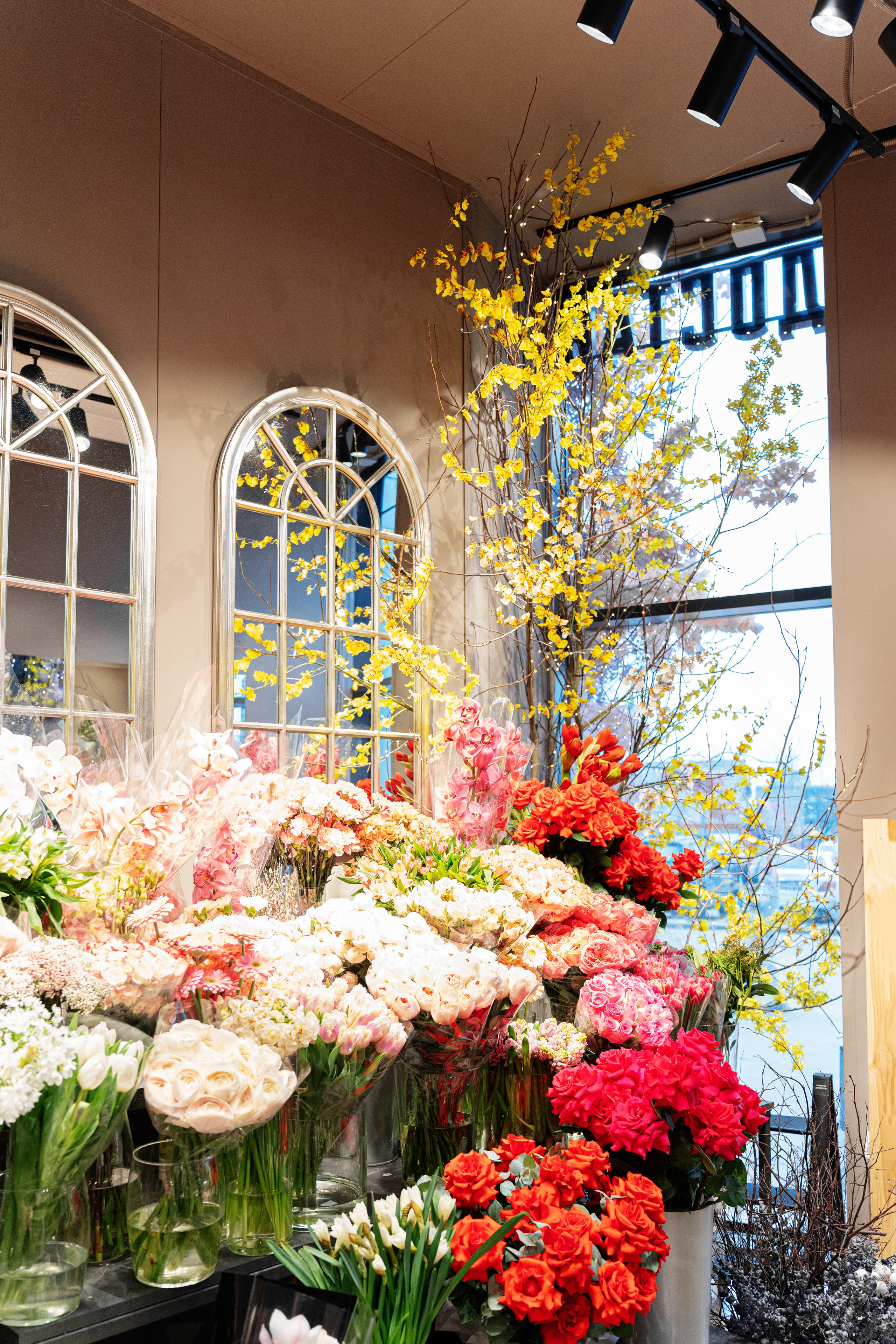 Регион холод. Елена Пашкевич, фотограф, Москва