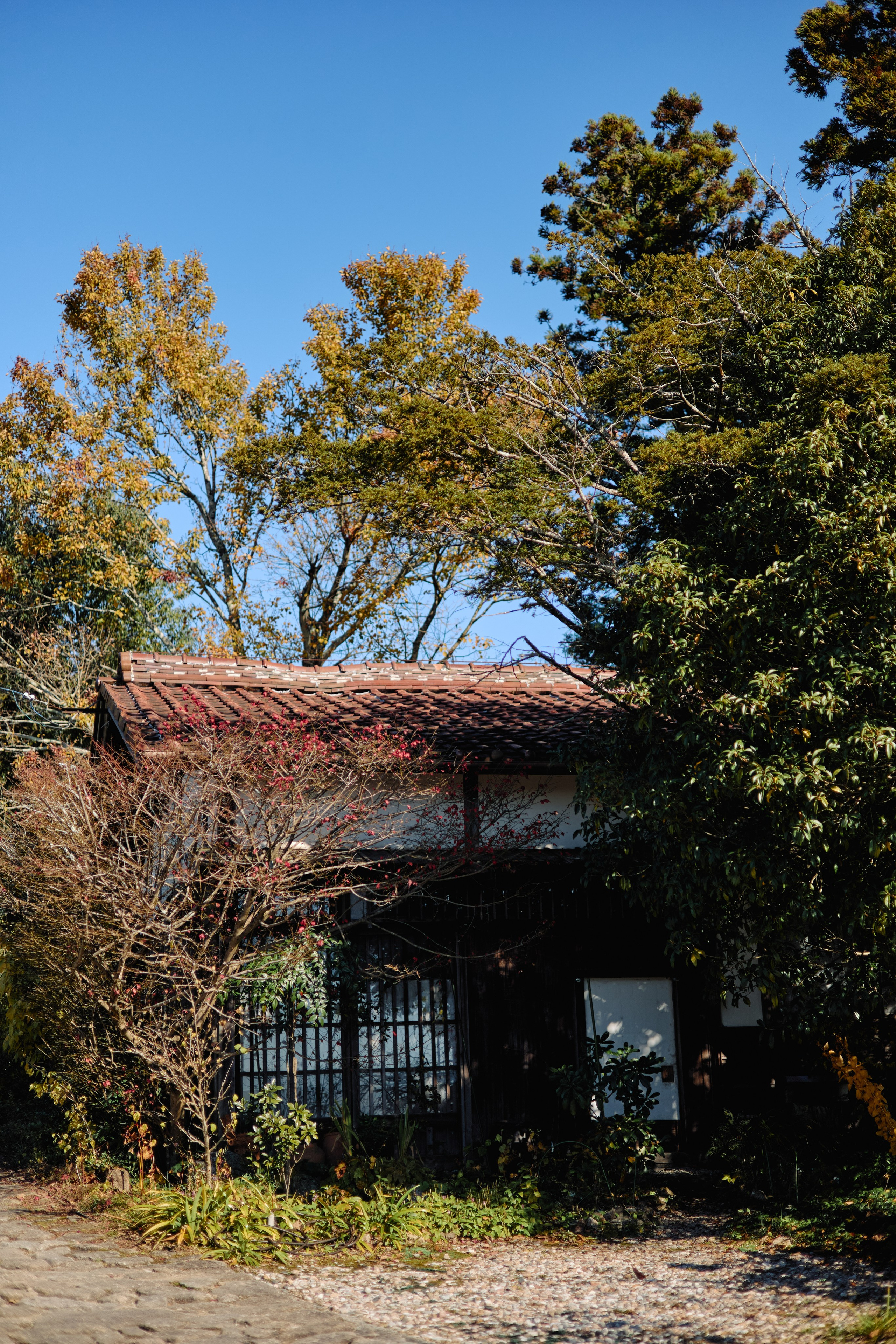 Япония. Профессиональный Фотограф во Владимире, в Москве и в Суздале — Полина Романычева