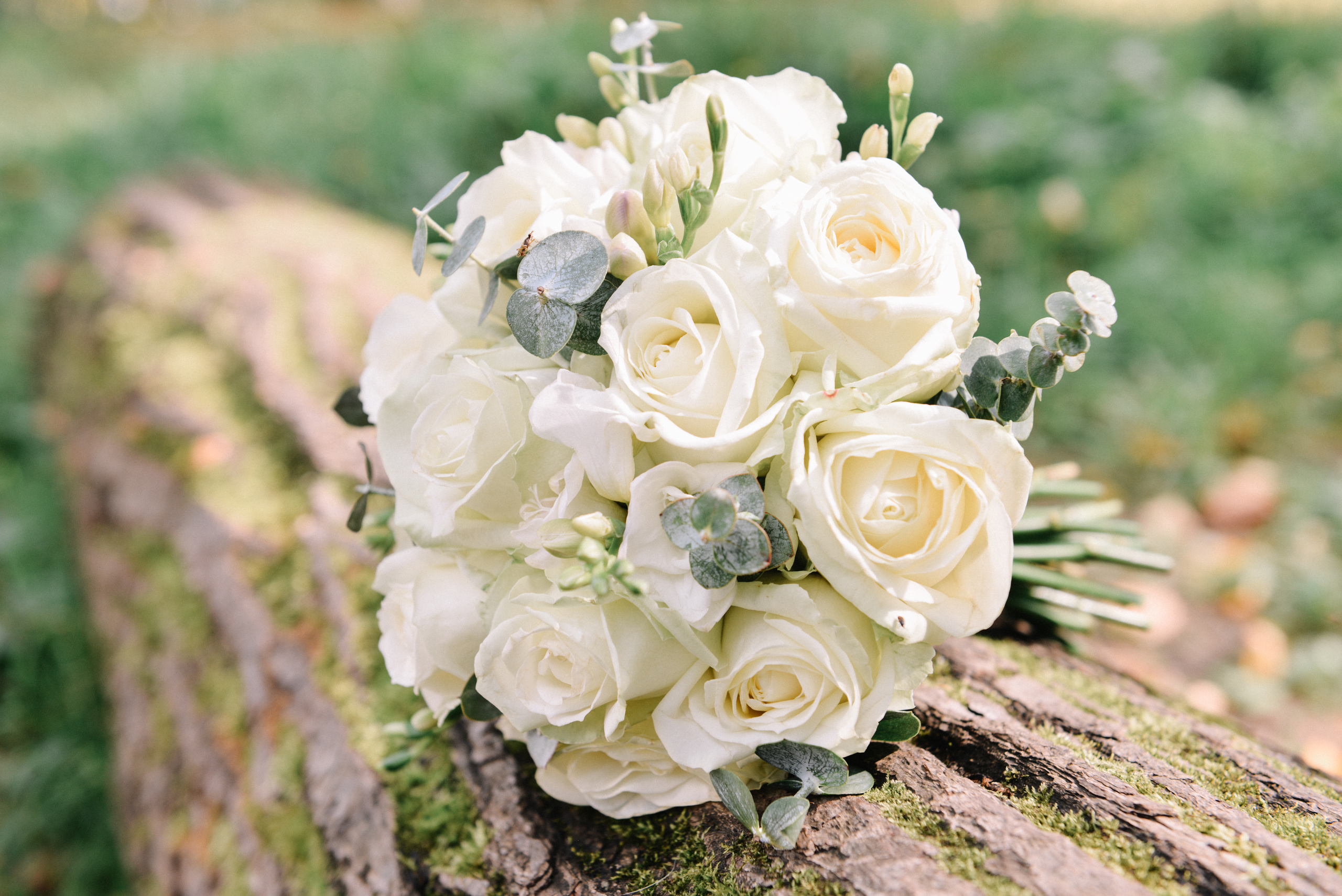 Татьяна и Евгений. Nadezhdin Studio