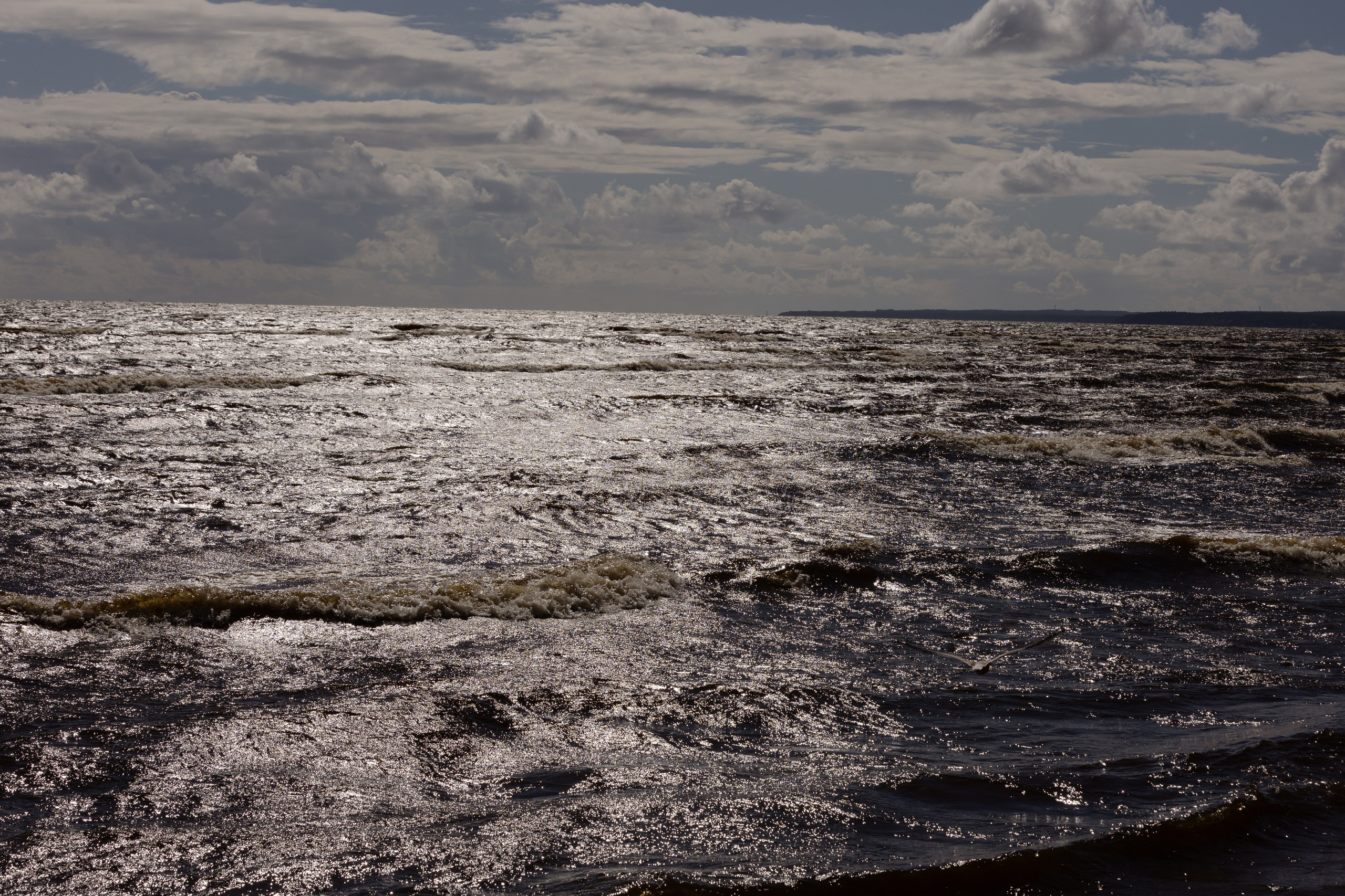 Виталий и Полина: свадьба загородом, где дождь не помеха. @dariazphoto свадебный фотограф