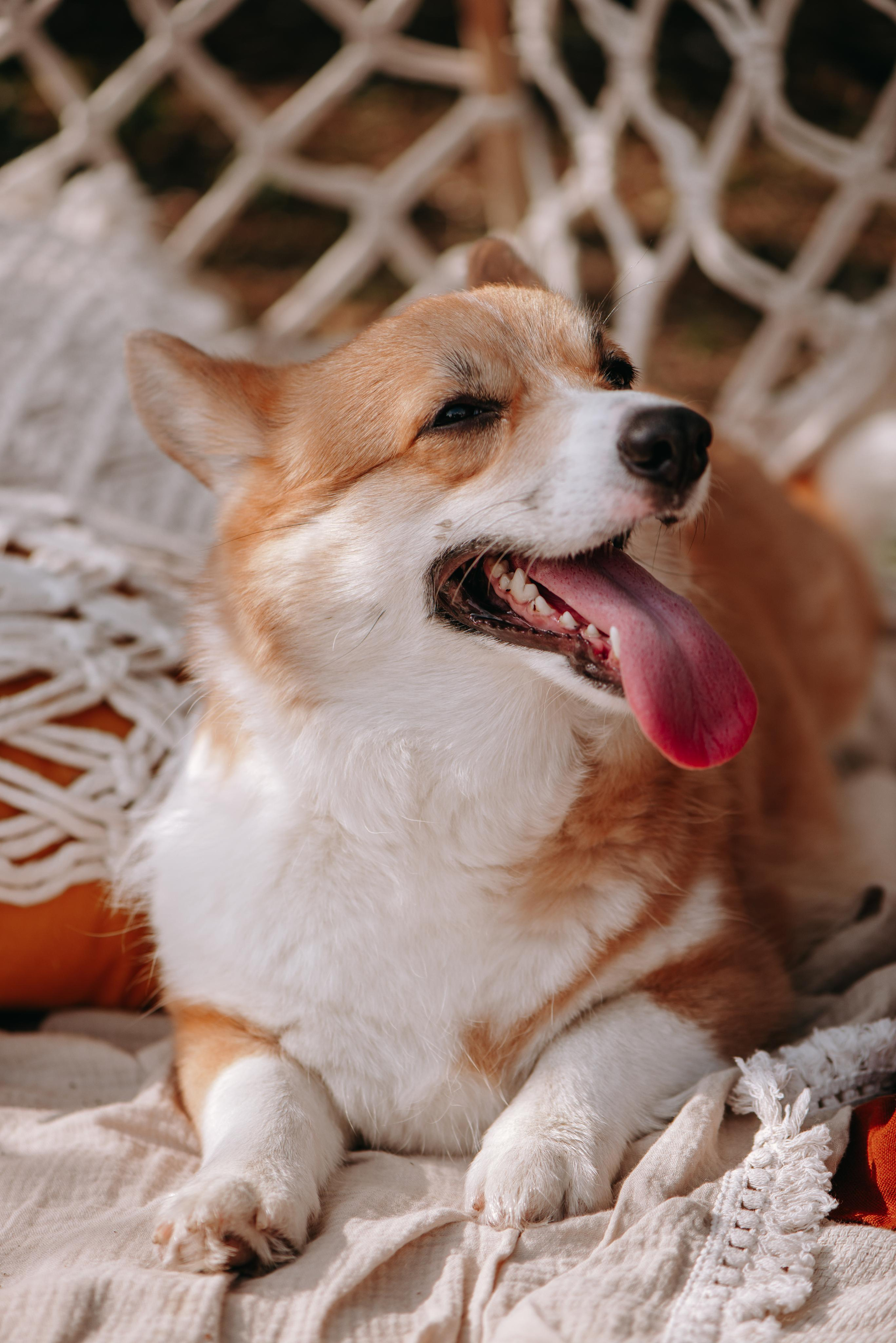 Еве годик. Lifestyle фотограф