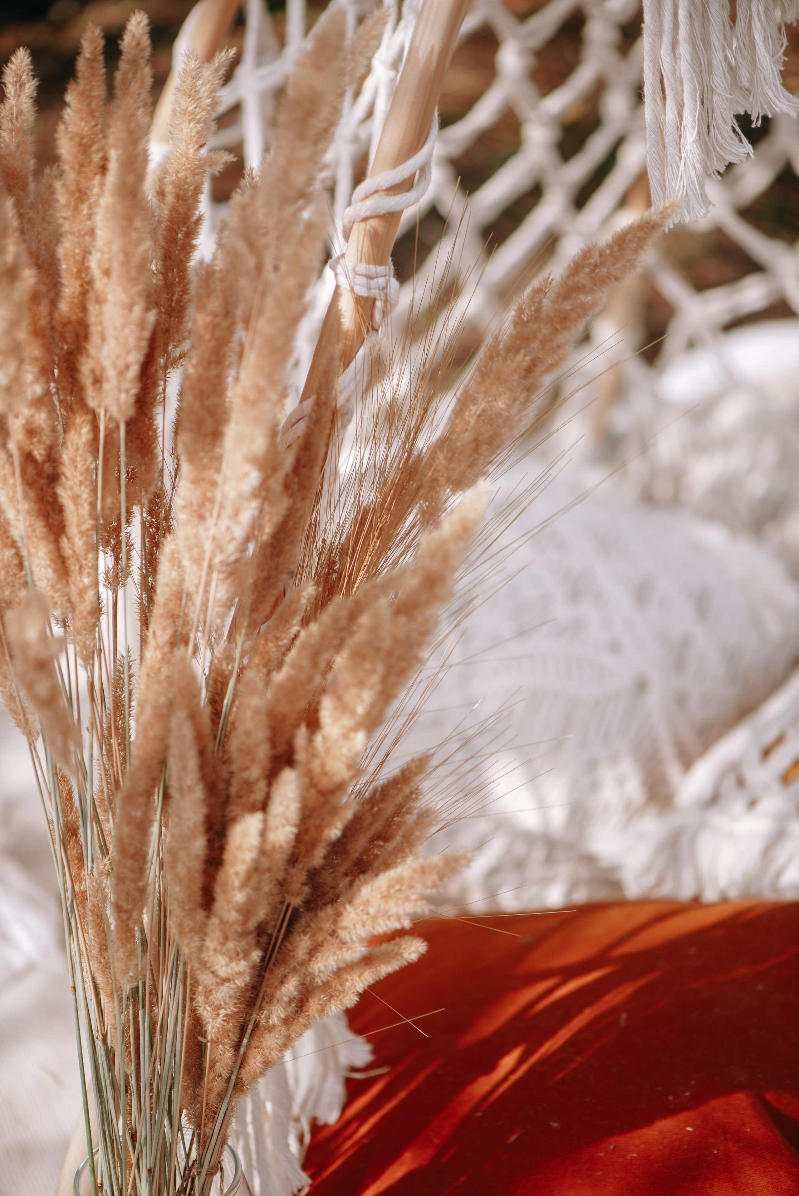 Еве годик. Lifestyle фотограф