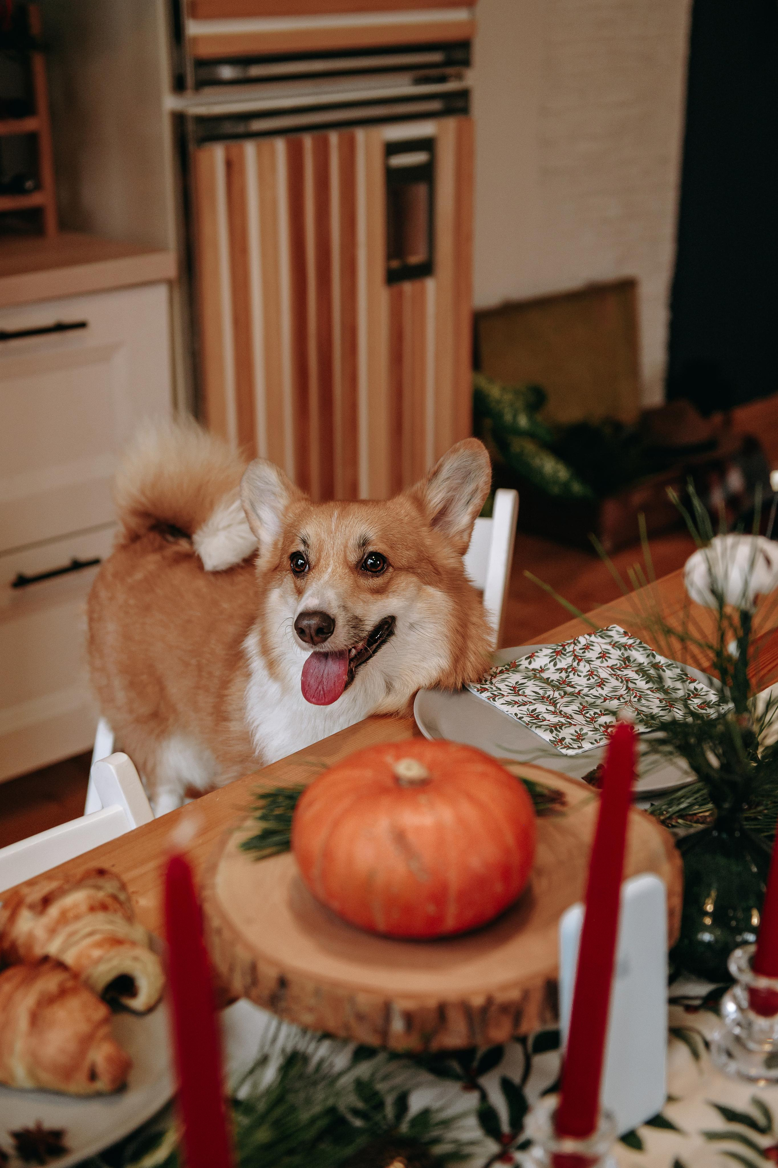 Happy New Year. Lifestyle фотограф