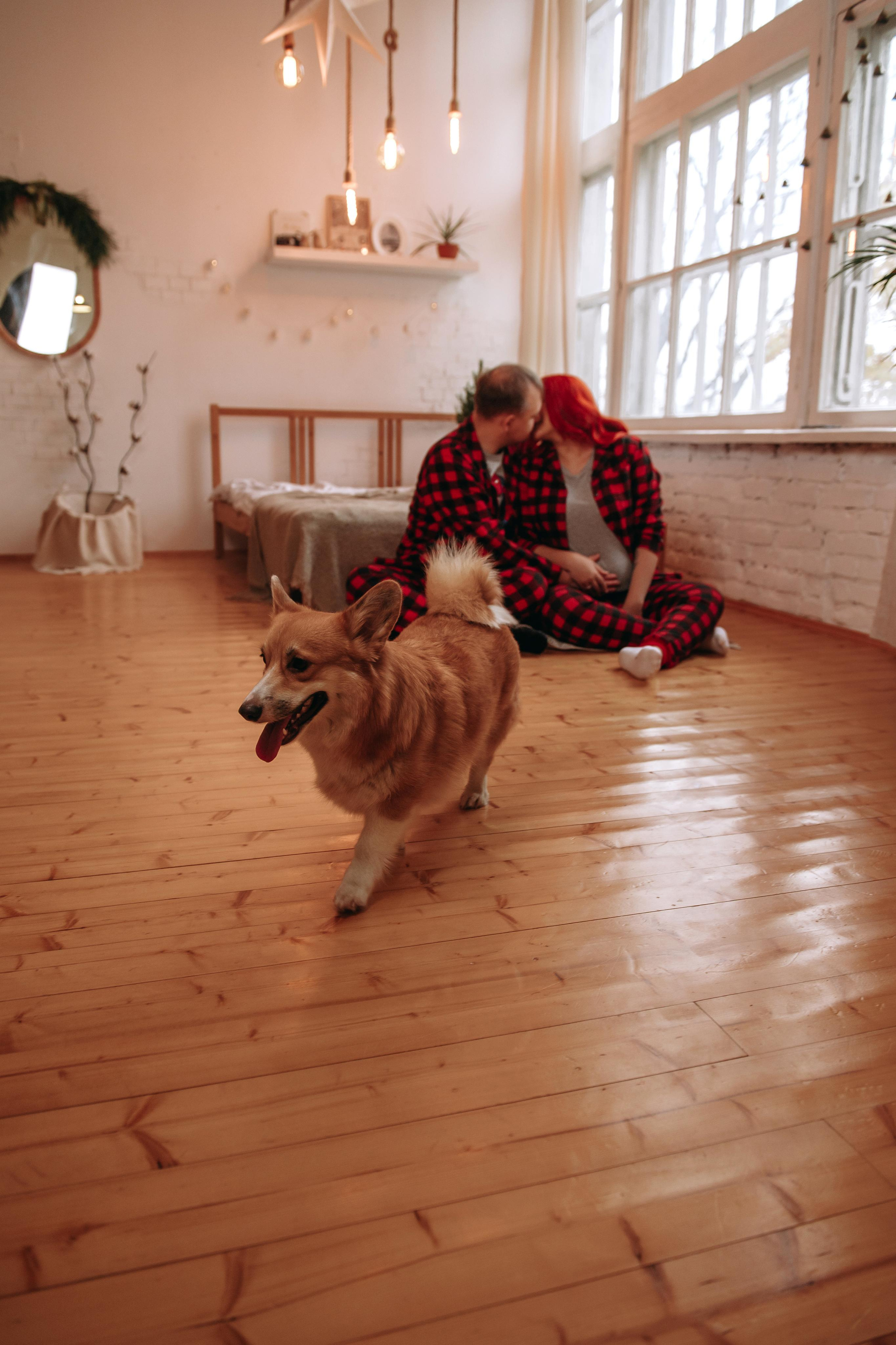 Happy New Year. Lifestyle фотограф