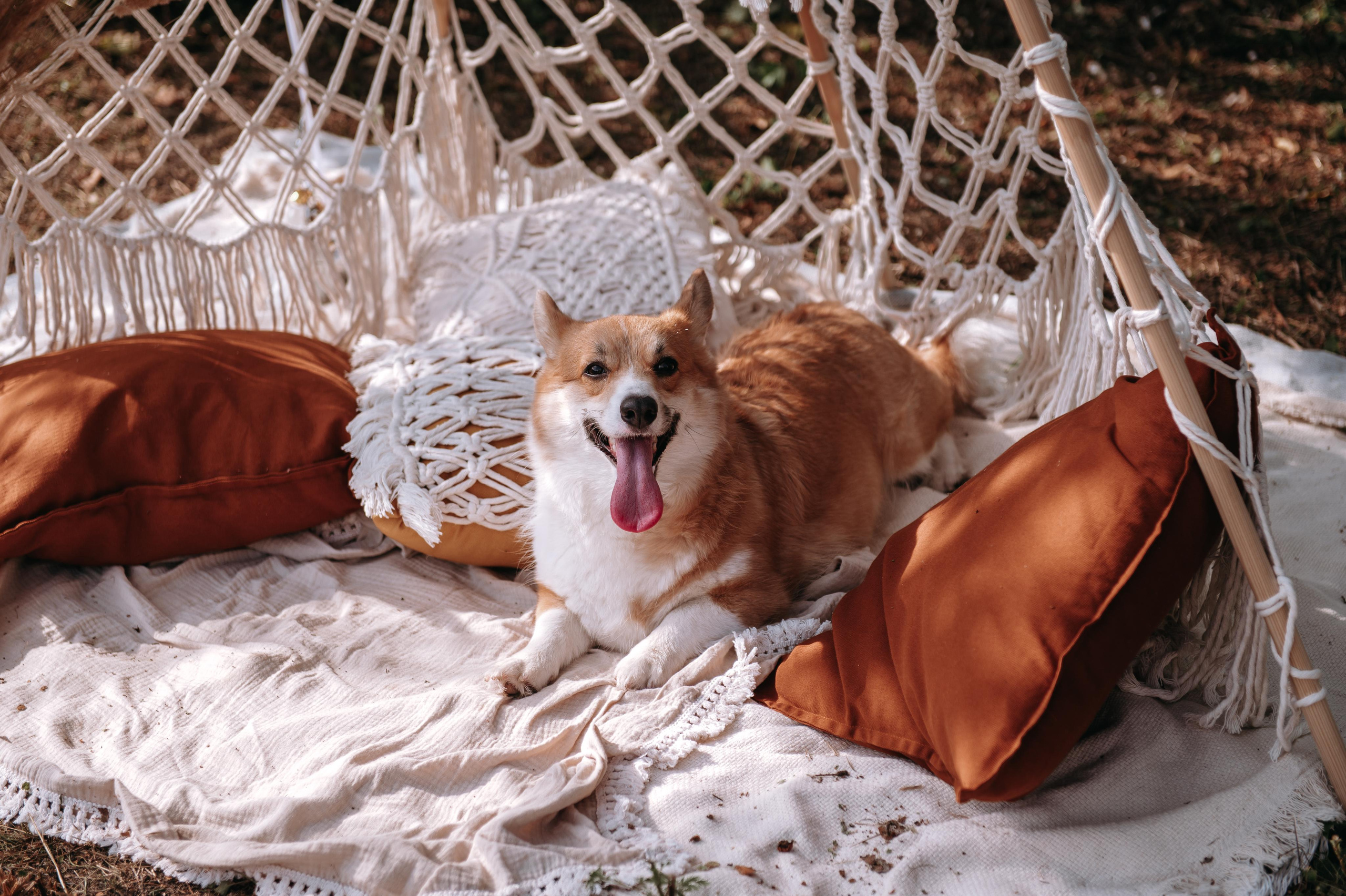 Еве годик. Lifestyle фотограф