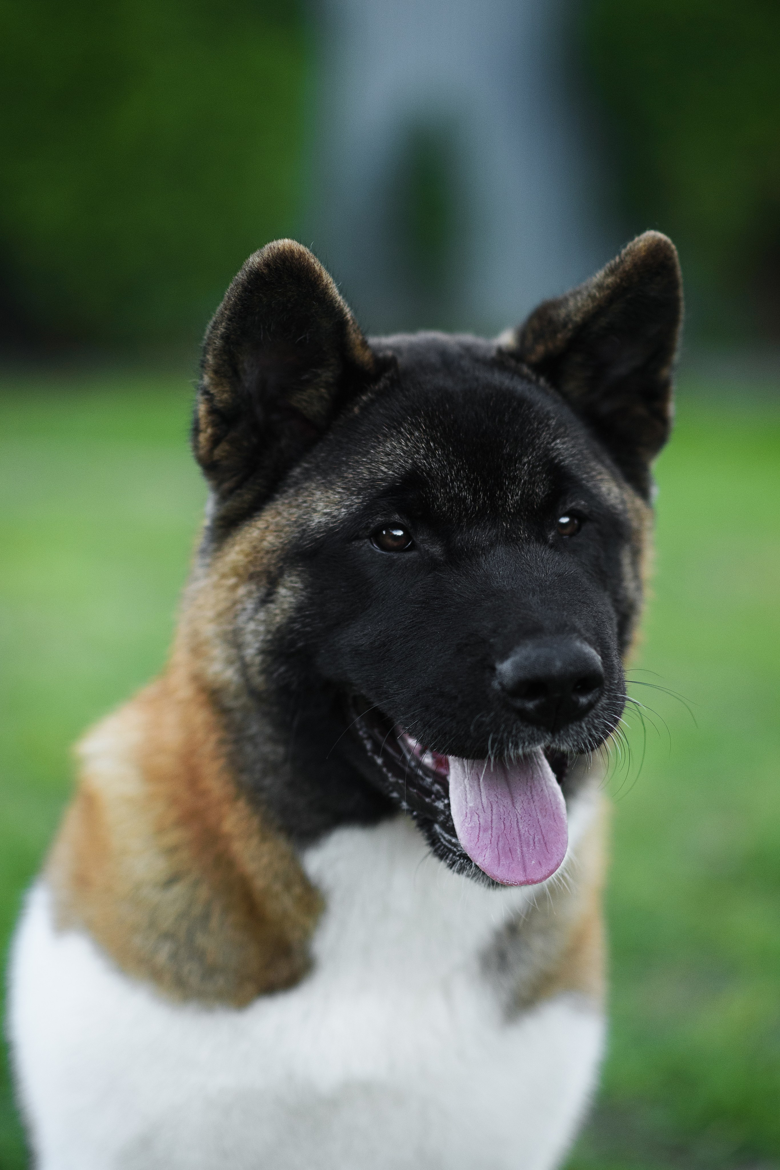 Луна — 21.06.2024. Фотограф — Анималист | Анна Абрамова