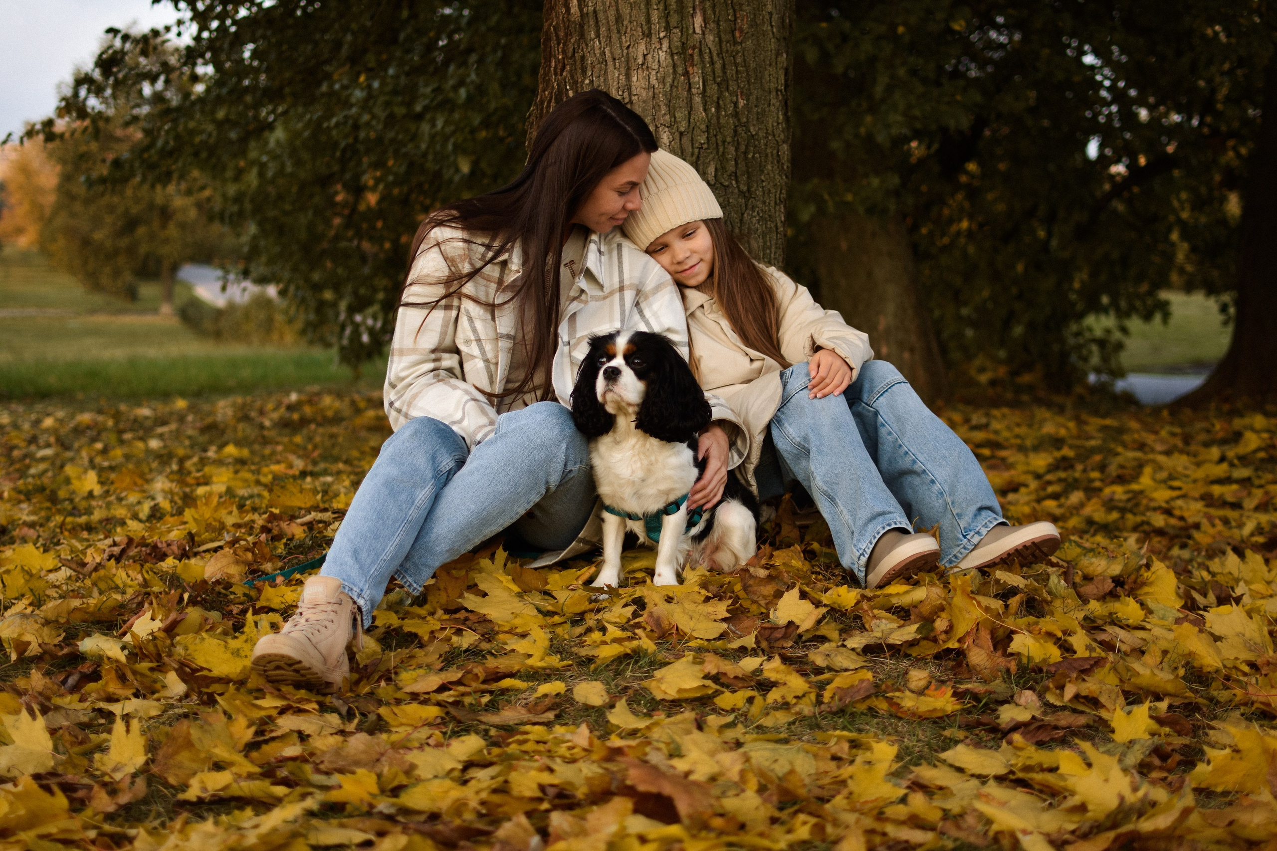 Молли, Кристина и Полина. Фотограф-анималист Ксения Шевцова|Москва