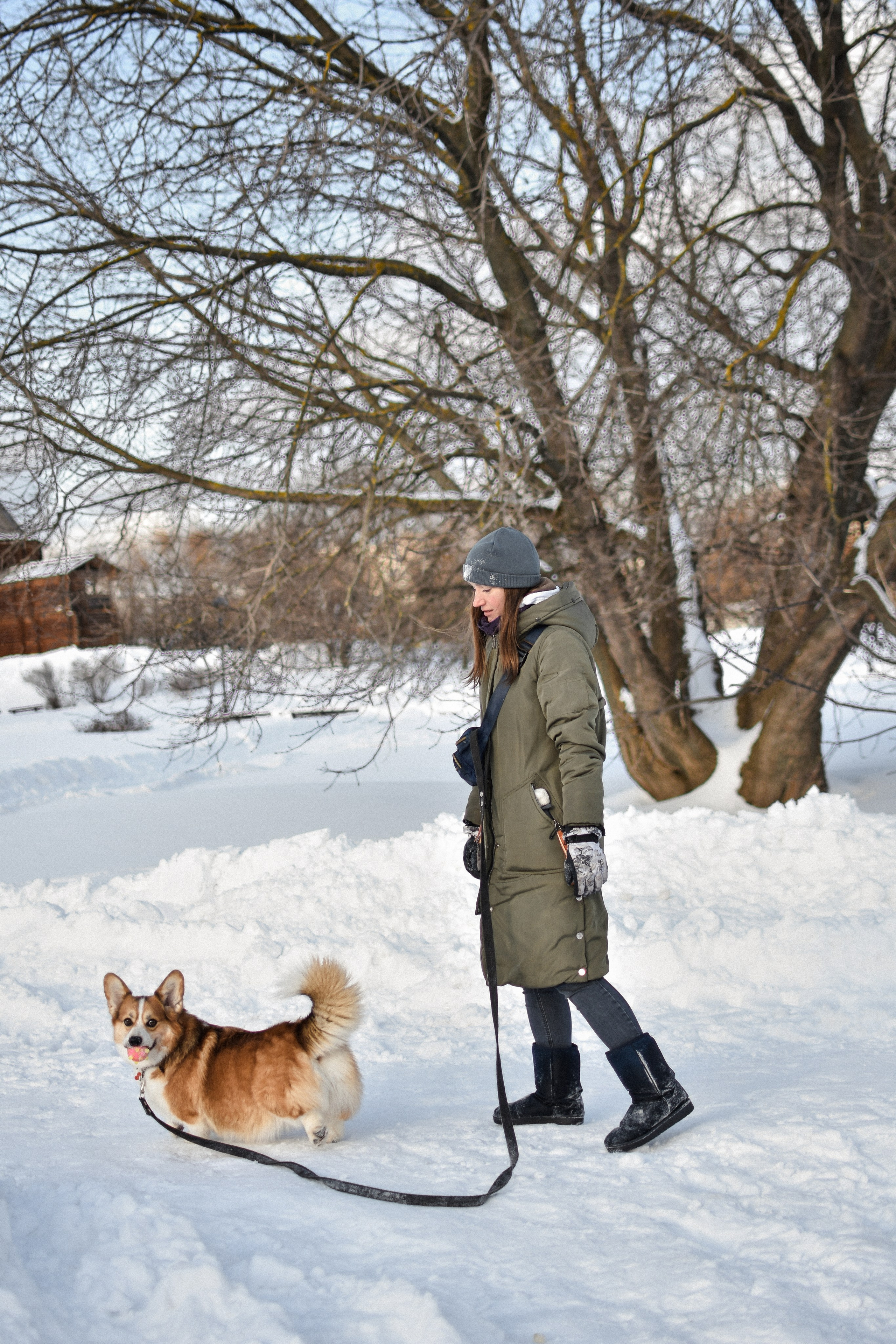 Алекс и Вера. Фотограф-анималист Ксения Шевцова|Москва