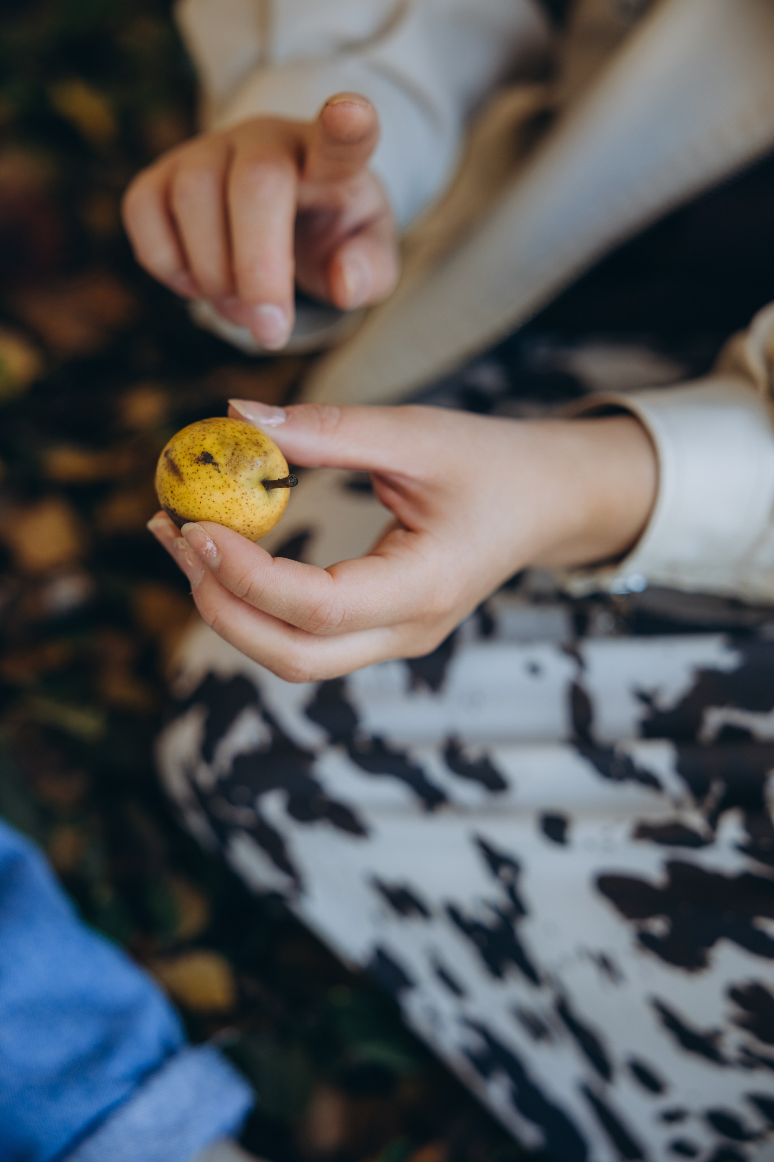 Арина и Стефи. Свадебный, семейный фотограф в Иркутске Светлана Макаричева