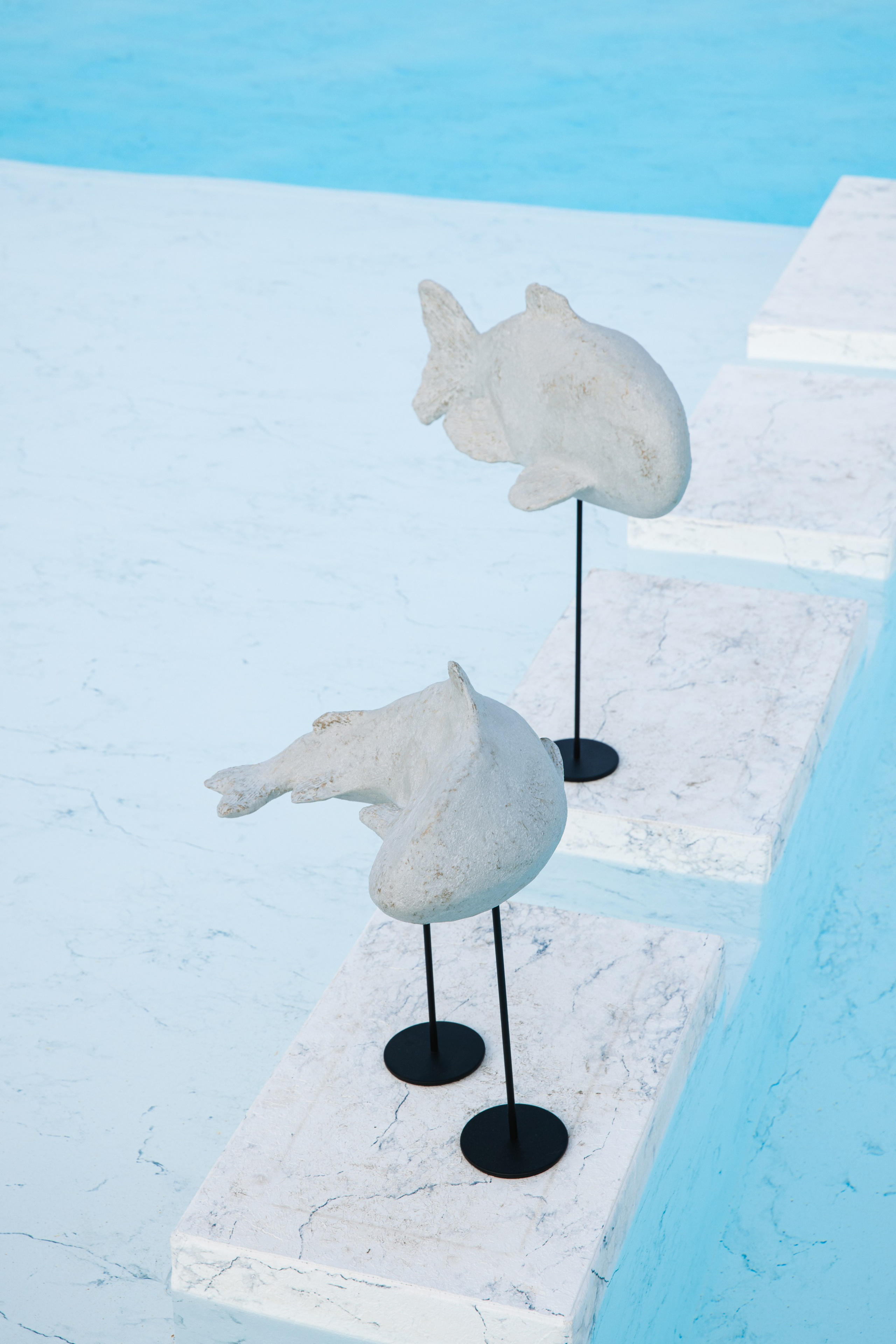 Kseniya Torgashina Designer. Фотограф на Юге России