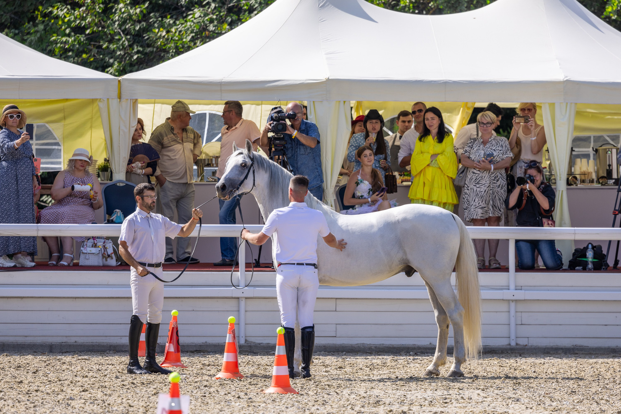 Конные выставки. Mrs.Aquarelia Конный фотограф Марианна Леонтьева
