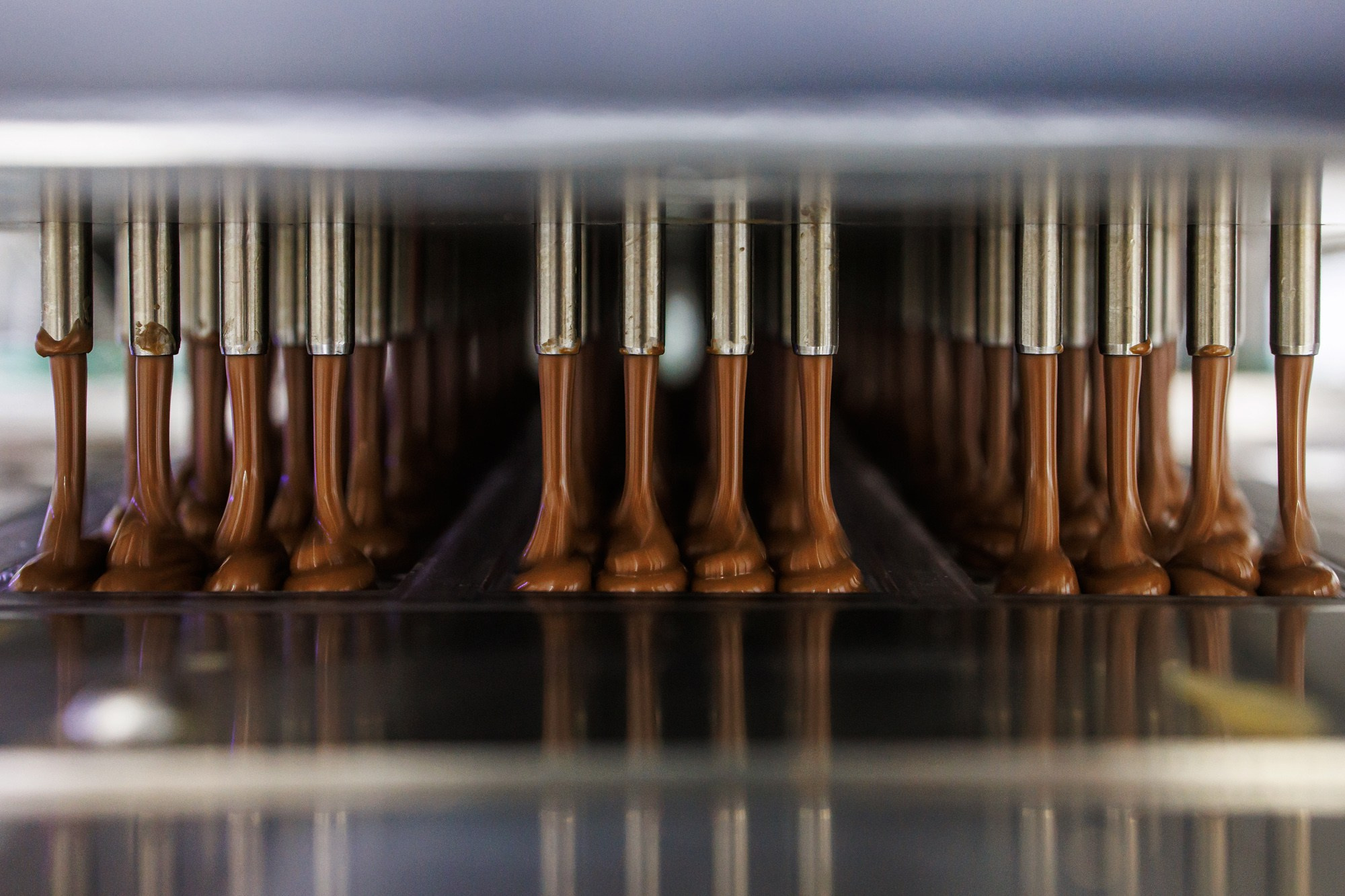 Nature's own factory. Photographer Ksenia Kolesnikova. Interior, Product, and Portrait Photography in Moscow