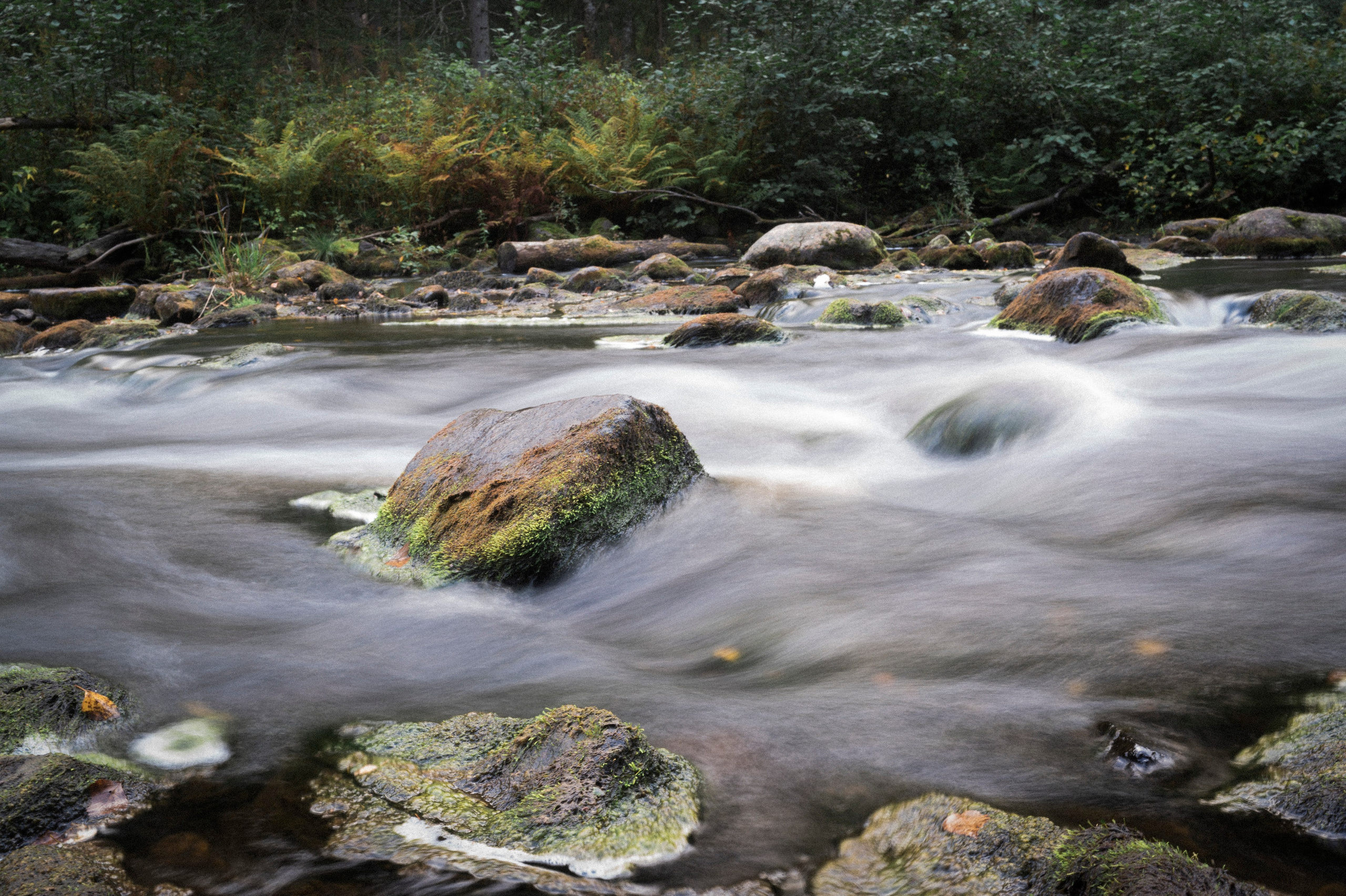 North 2024. Kartascheff