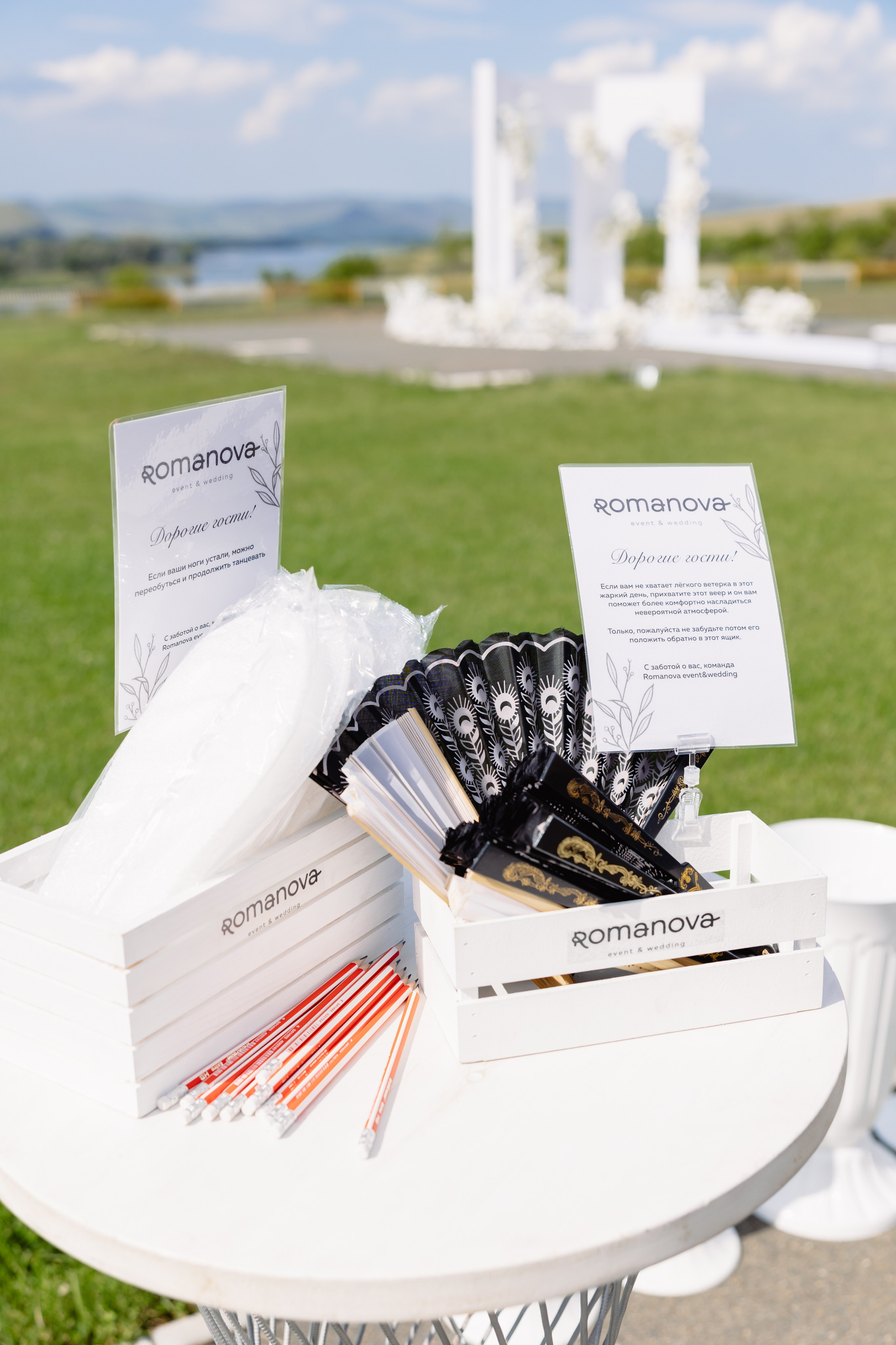 Николай + Полина. Александр Видякин Фотограф в Хакасии и Красноярском крае