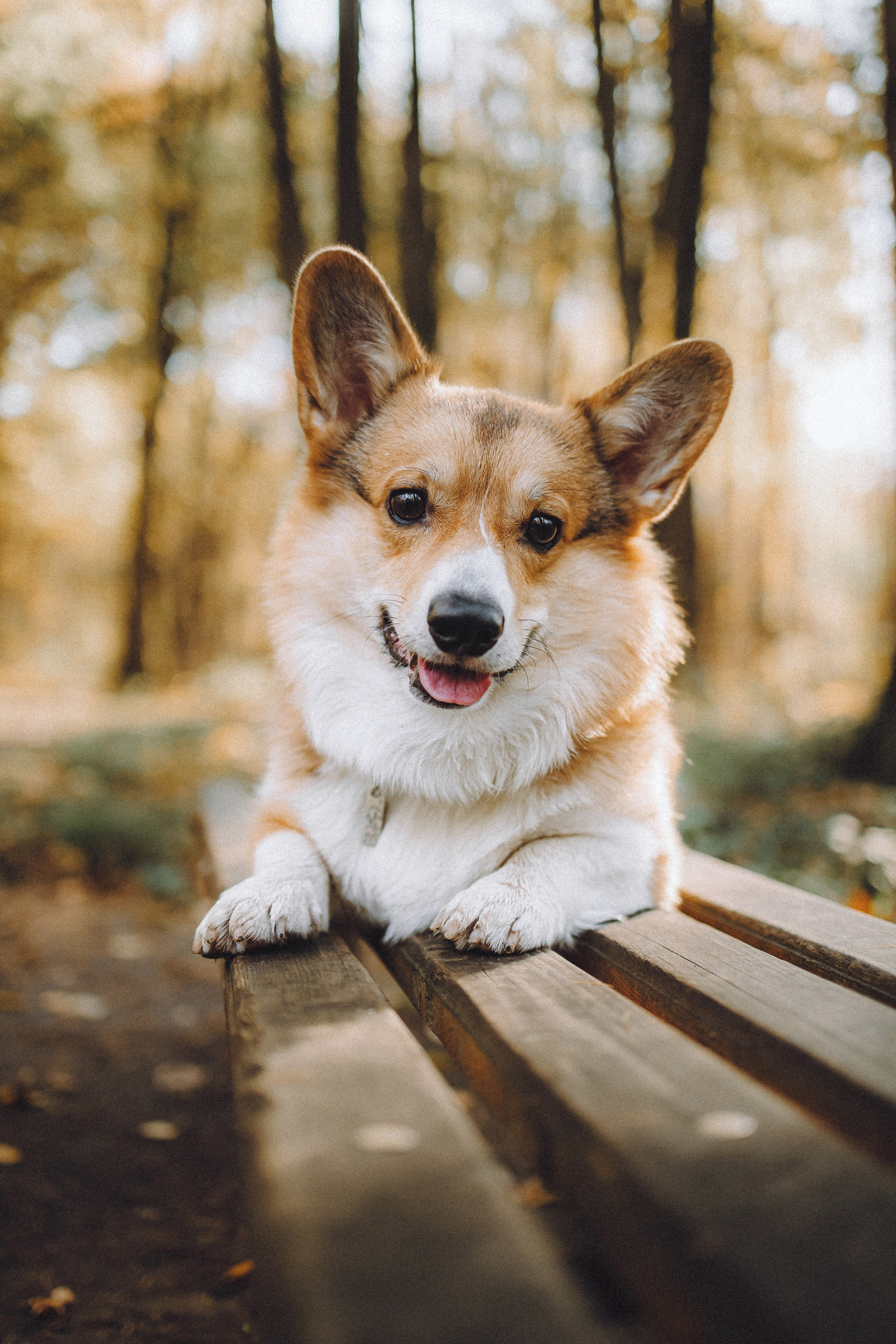 Карина, Даня и Аркаша