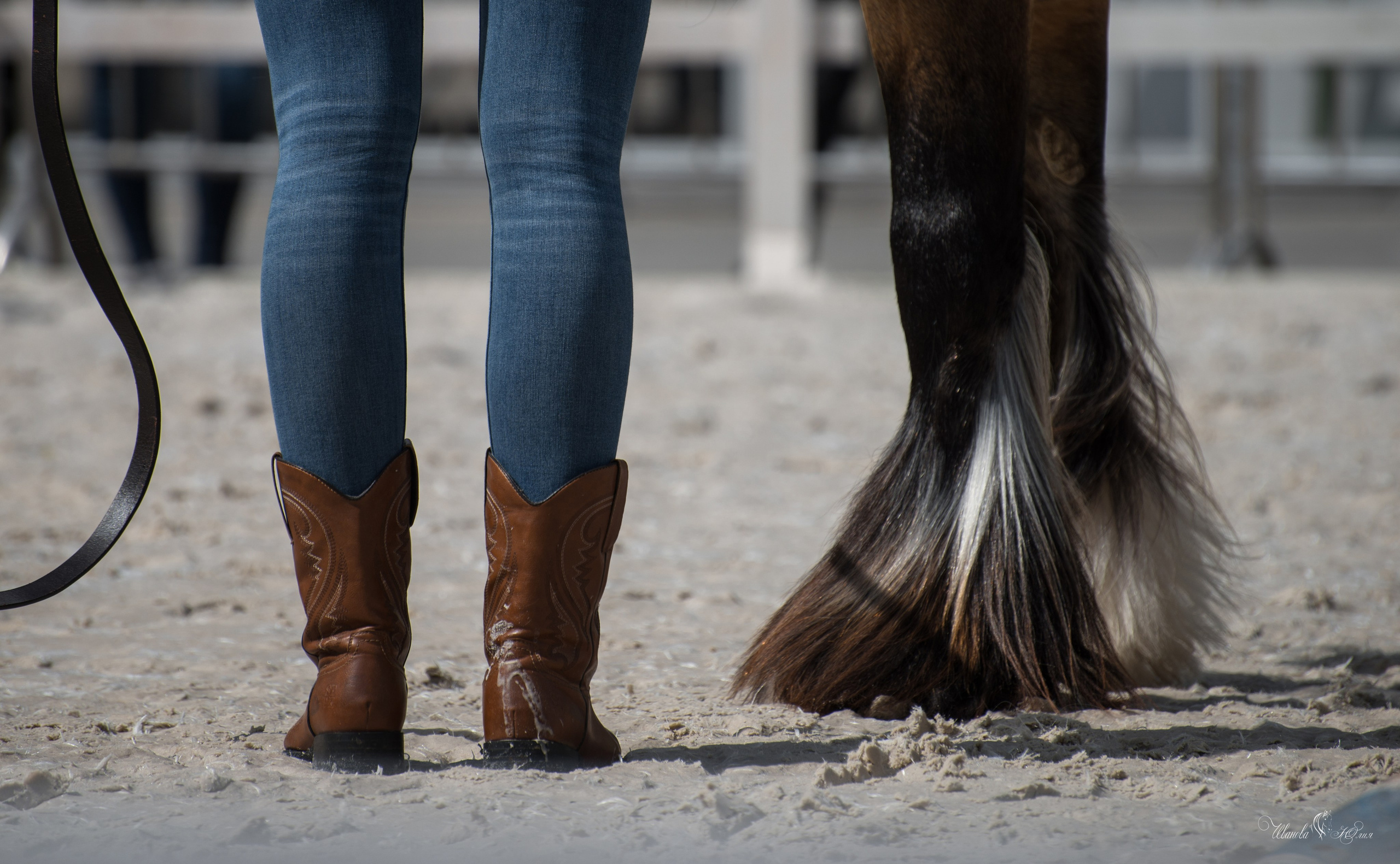 Эквирос, Москва. Конный фотограф в Саратове Юлия Иванова