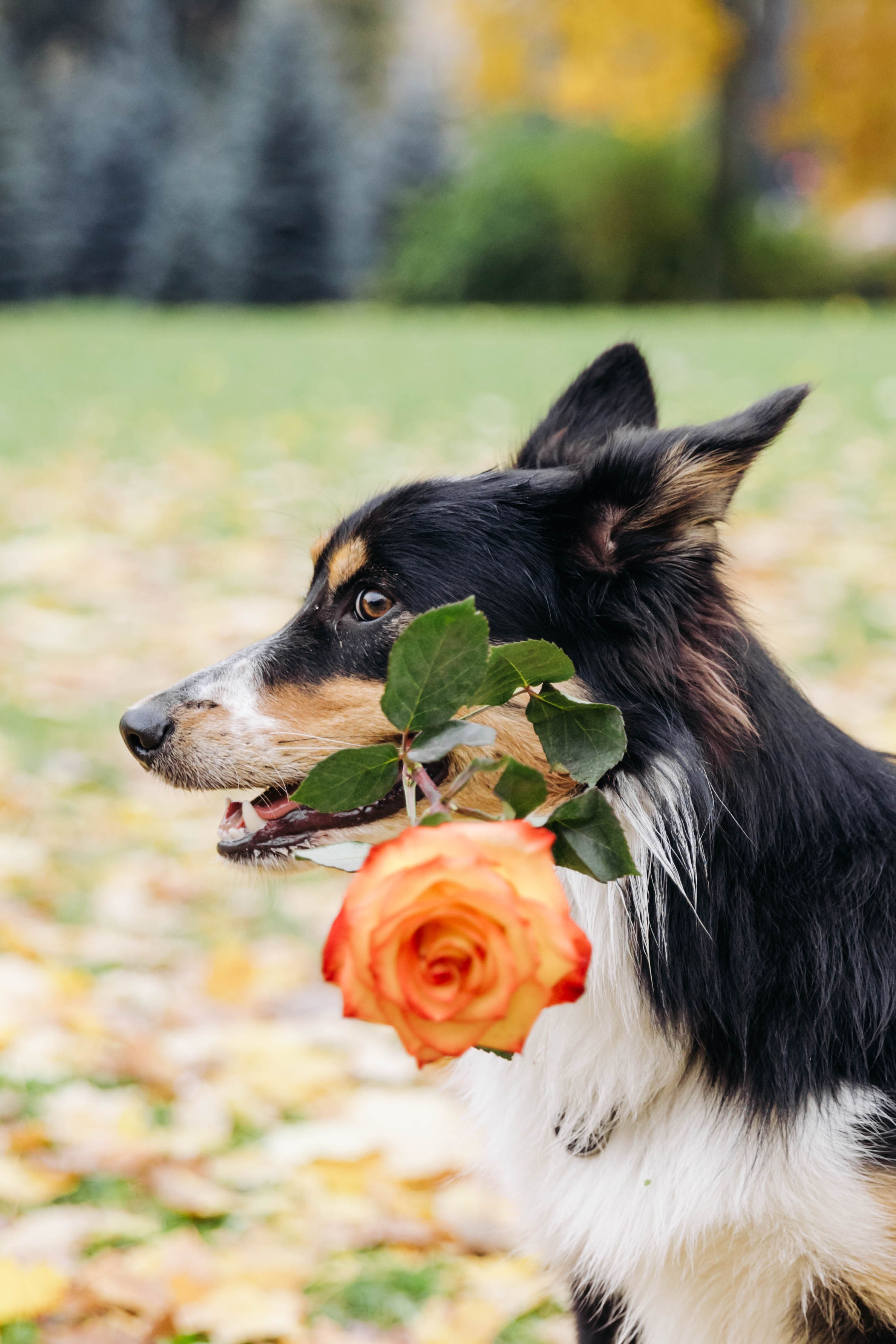 Вольт. Свадебный и семейный фотограф в Санкт-Петербурге Лолита Евстифеева
