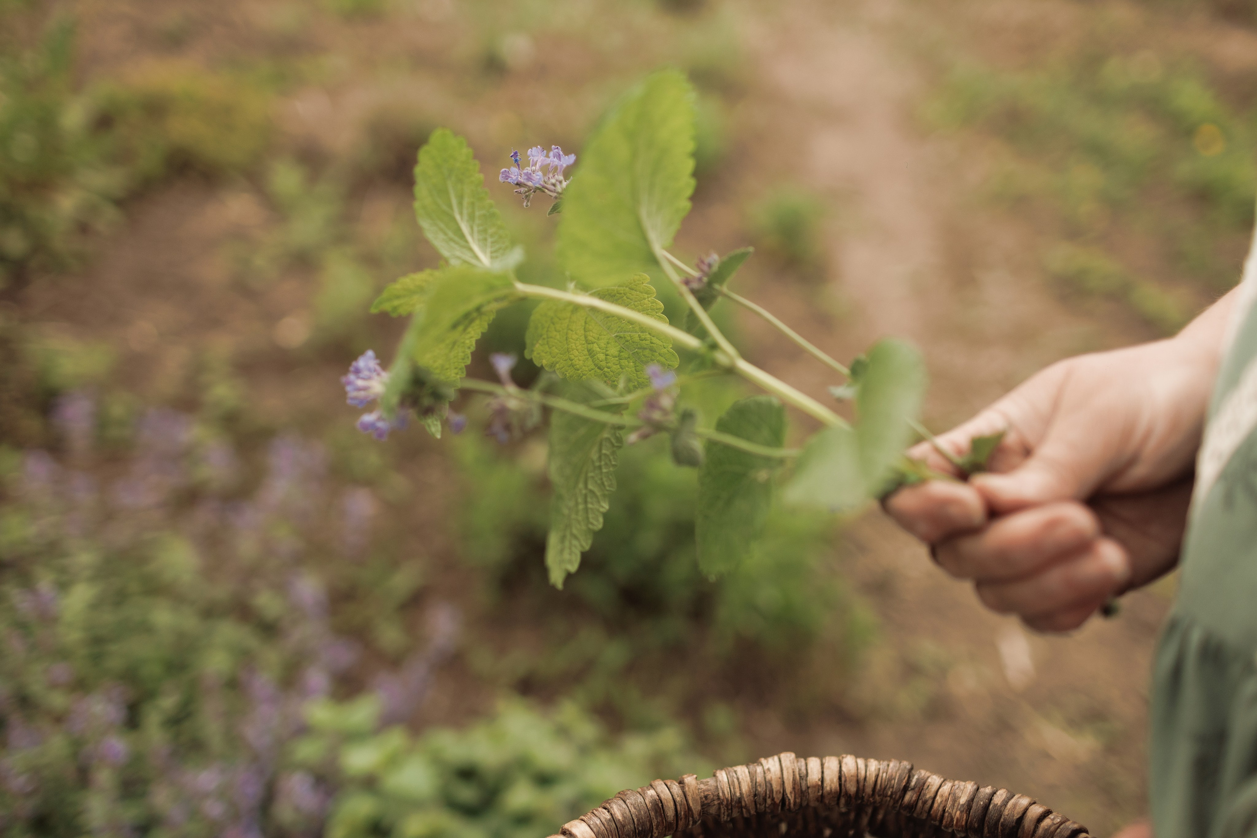 Вита. Портретный и свадебный фотограф в Белгороде Глухова Кристина