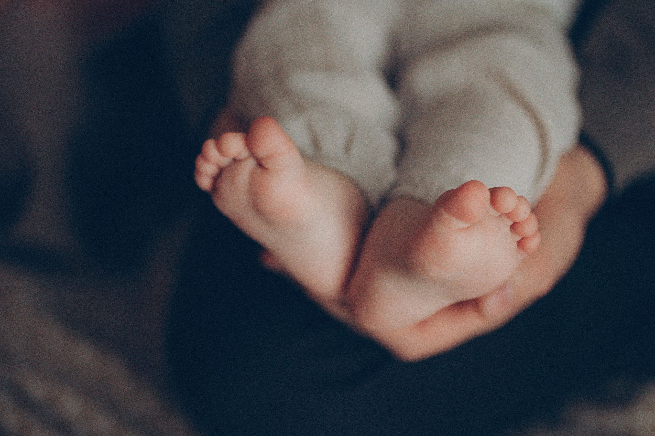 Лева, Жанна и Владимир (новогодняя домашняя). Фотограф, г. Лесной Свердловской области