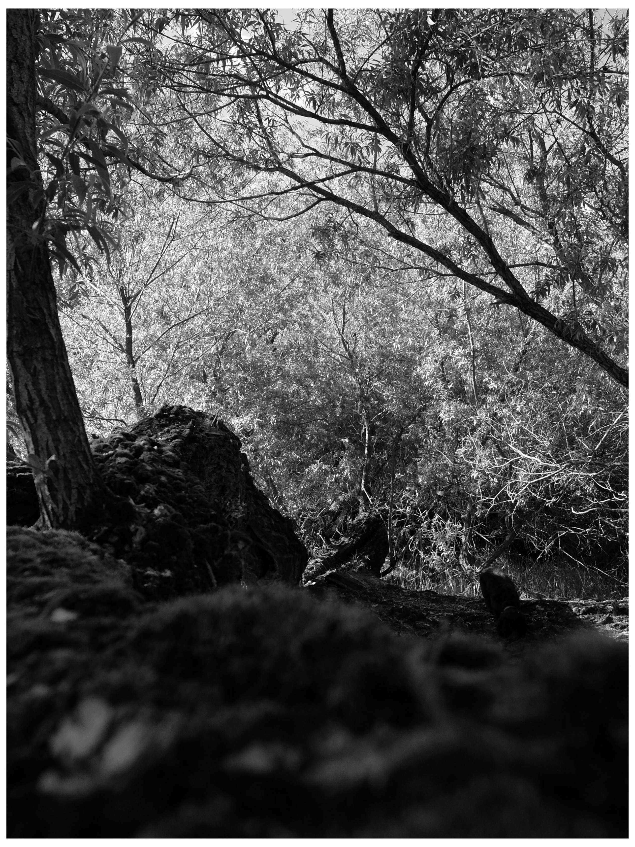 Промежуточные моменты (2022)