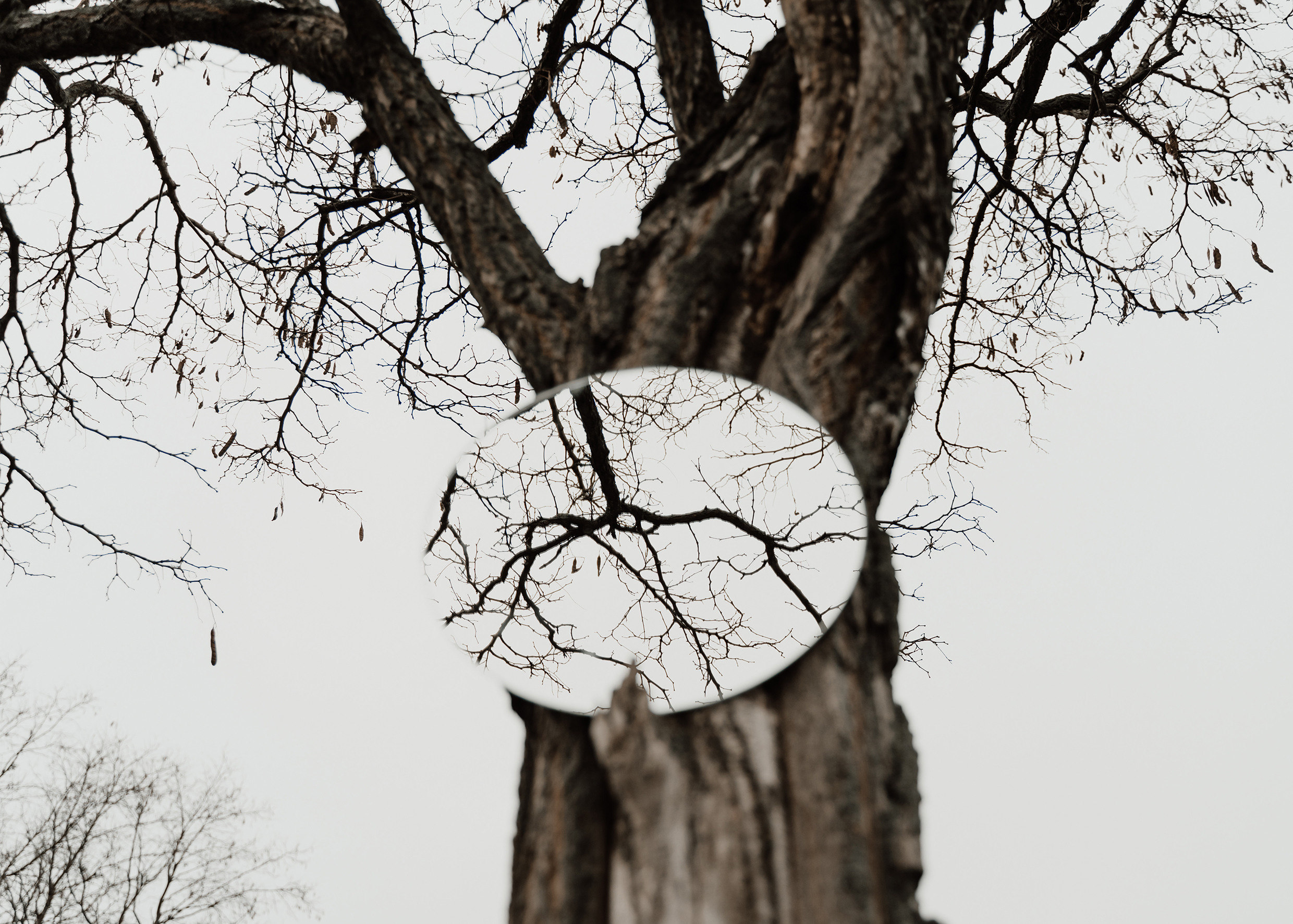 Сергей. Свадебный фотограф Анжелика Сариева