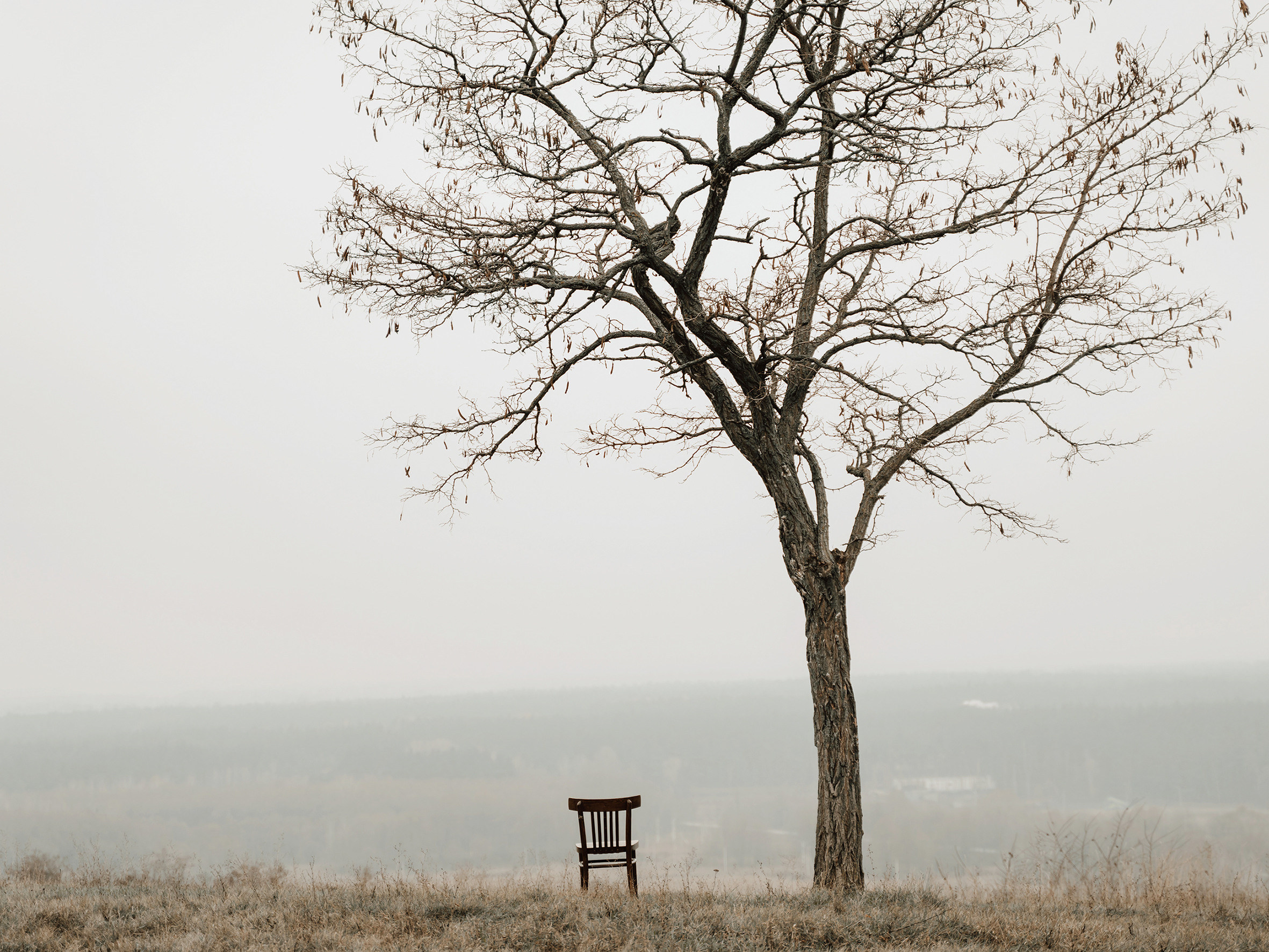 Сергей. Свадебный фотограф Анжелика Сариева