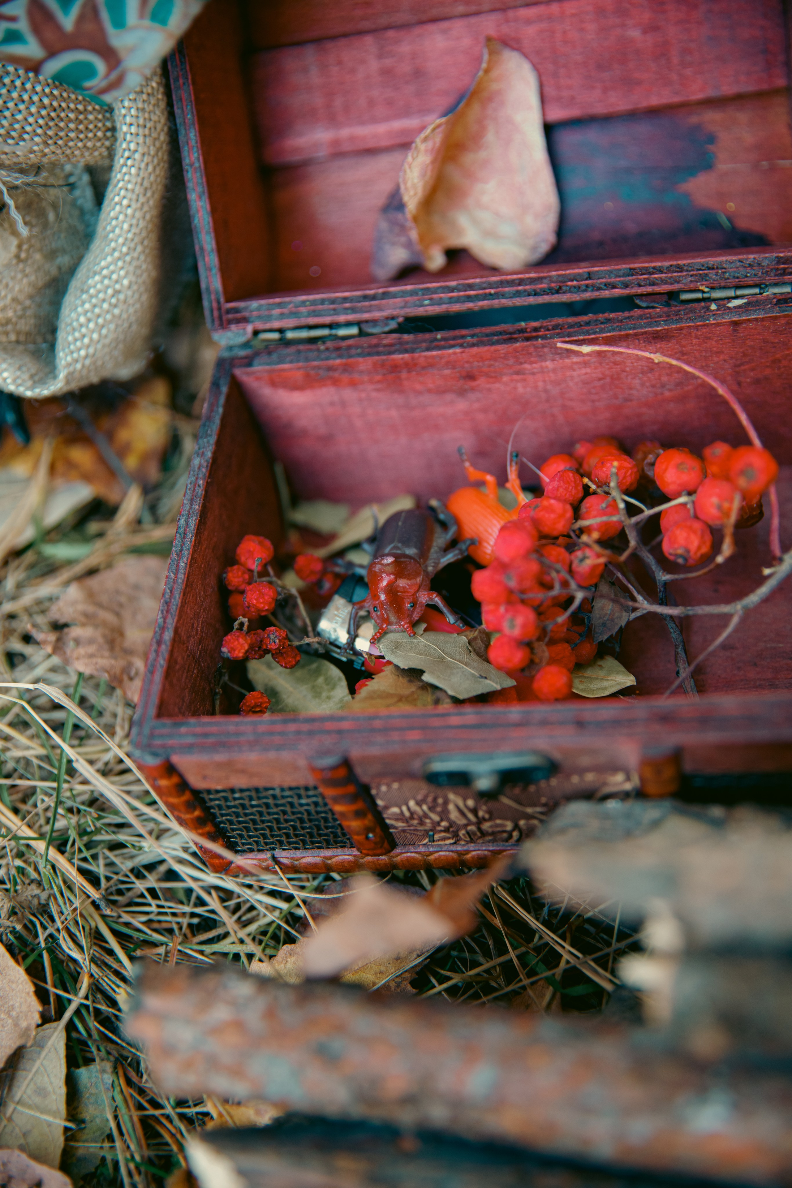 Немного сказки. Детский и семейный фотограф в Екатеринбурге Екатерина Гильманова