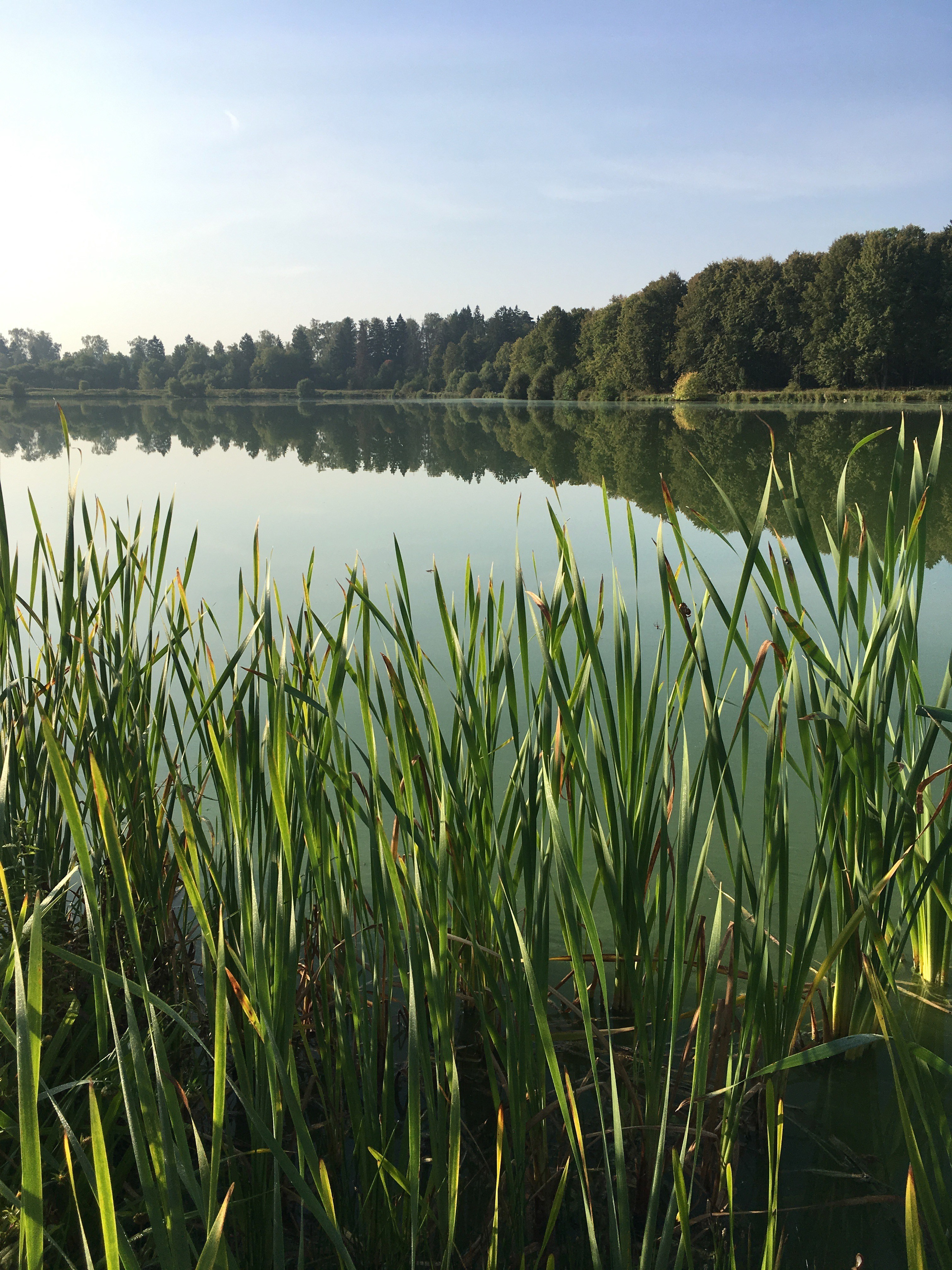 Молоди-19. Своя Мастерская