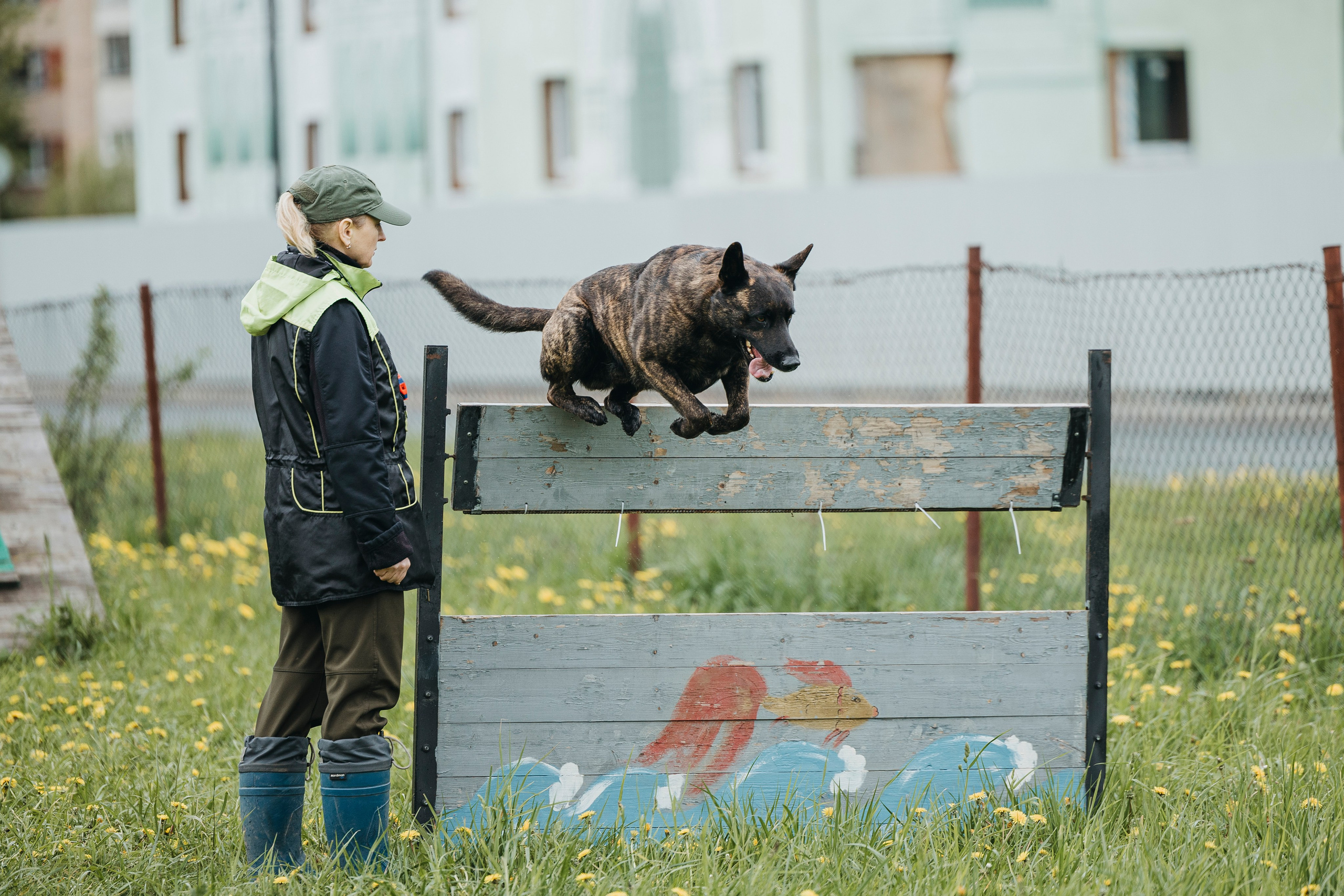 26.05.25 г. Пушкин квалификационные соревнования. Фотограф-анималист Анна Маринич