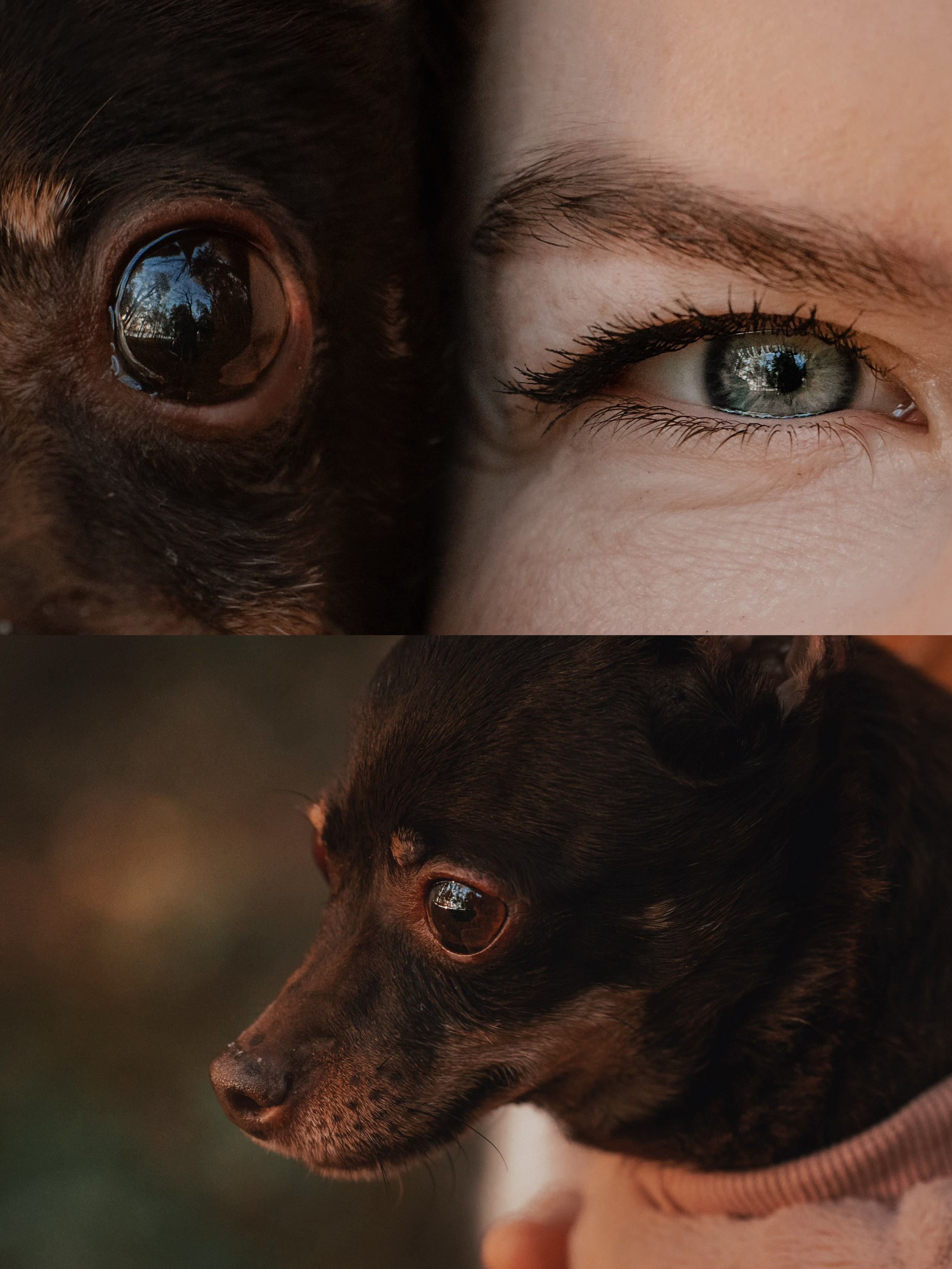 Марина и Мышка. Фотограф анималист в Москве и Санкт-Петербурге Свиридова Анна