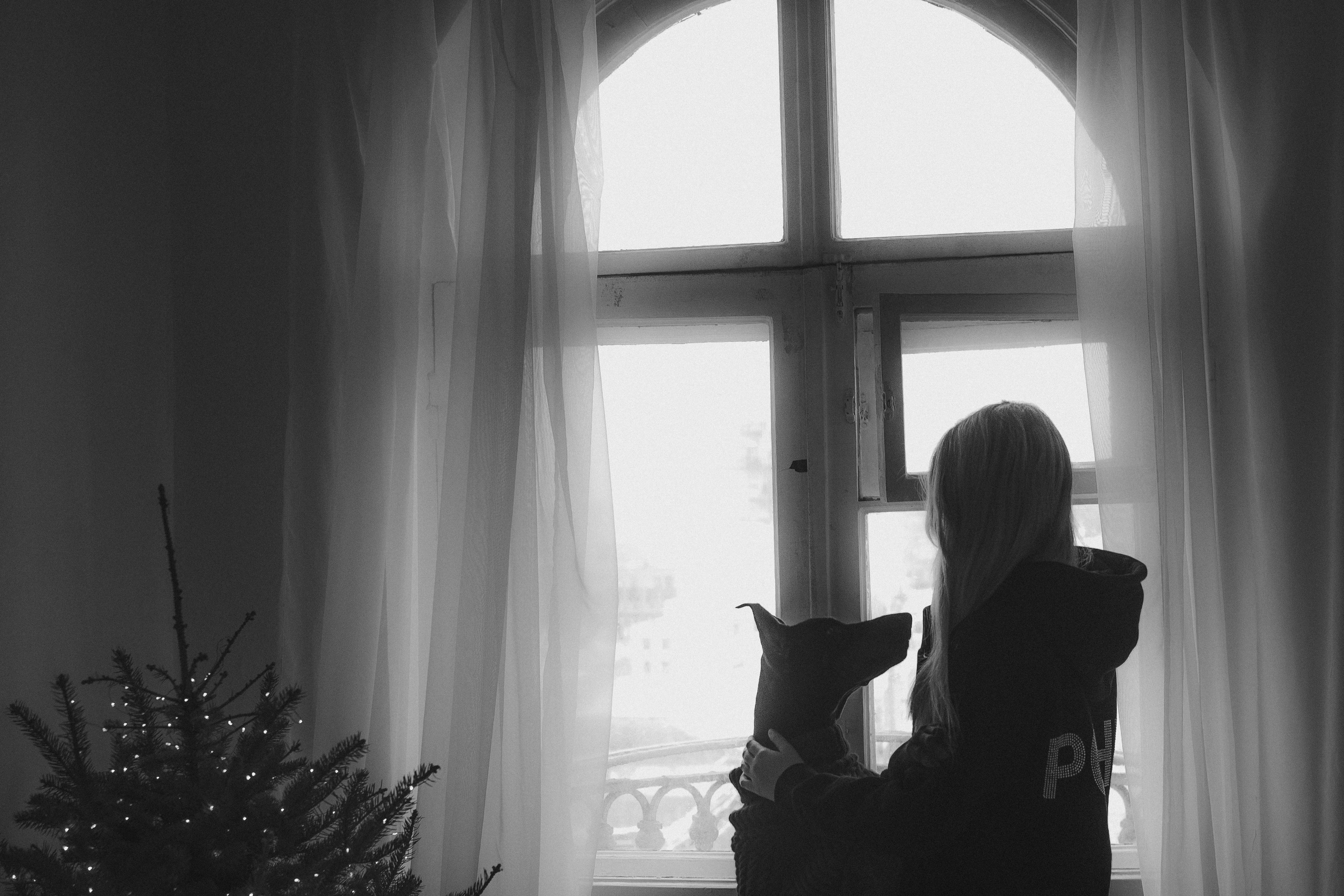 Саша и Асти. Фотограф анималист в Москве и Санкт-Петербурге Свиридова Анна