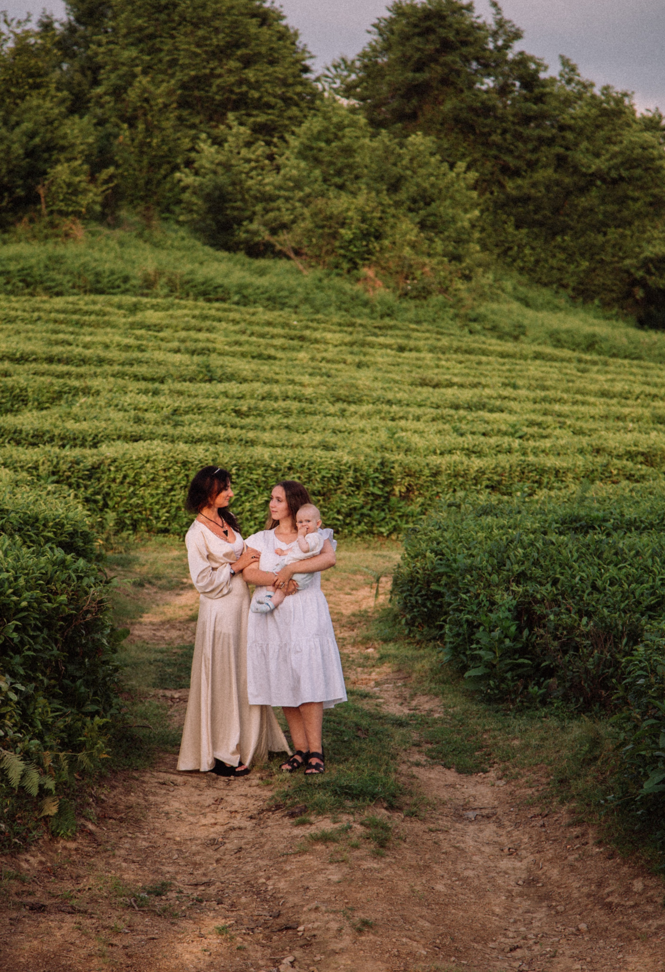 Чайные плантации в Лоо. Семейный фотограф в Сочи, Лоо, Дагомысе, Вардане Кучумова Олеся