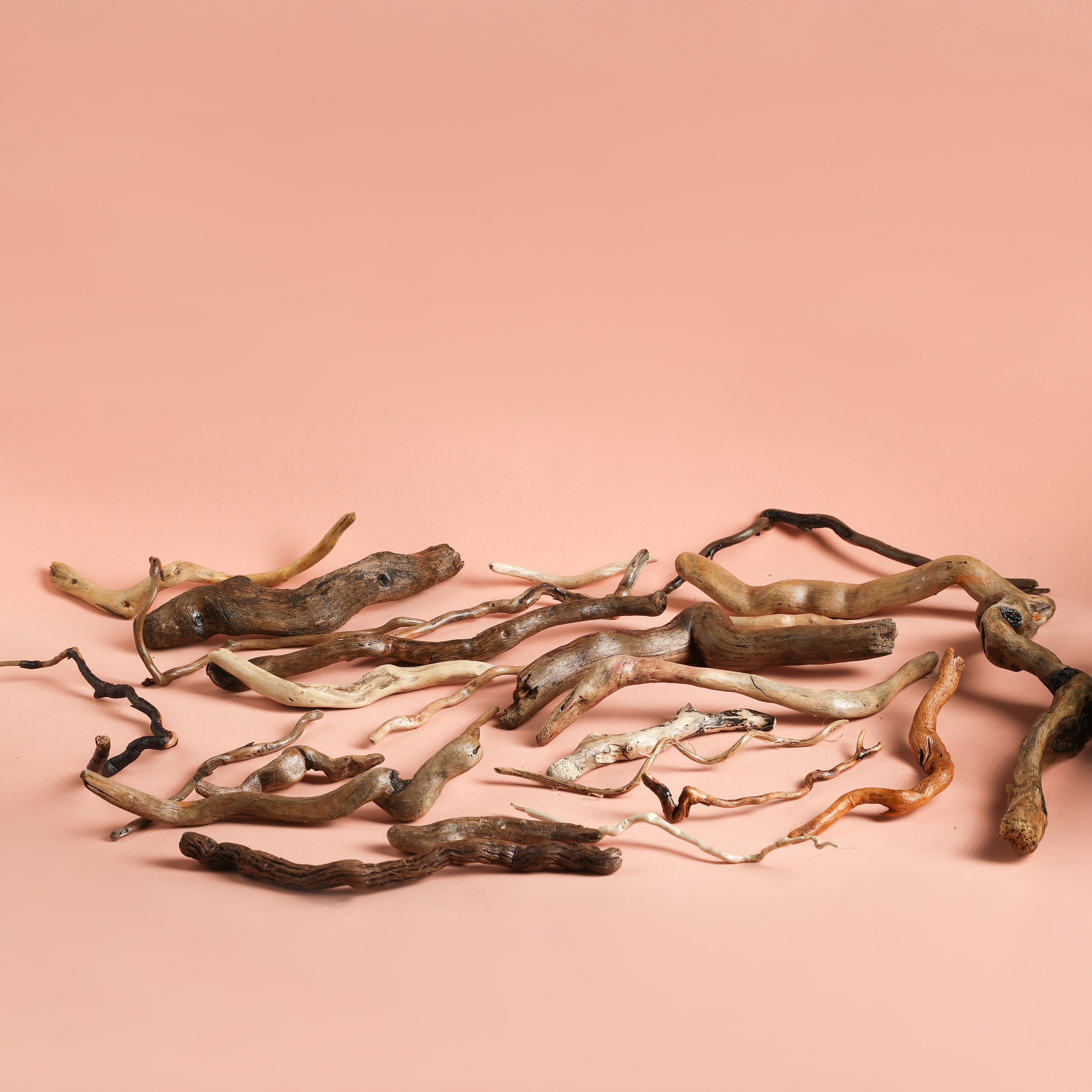 ДрифтВУД. КОРЯГИ