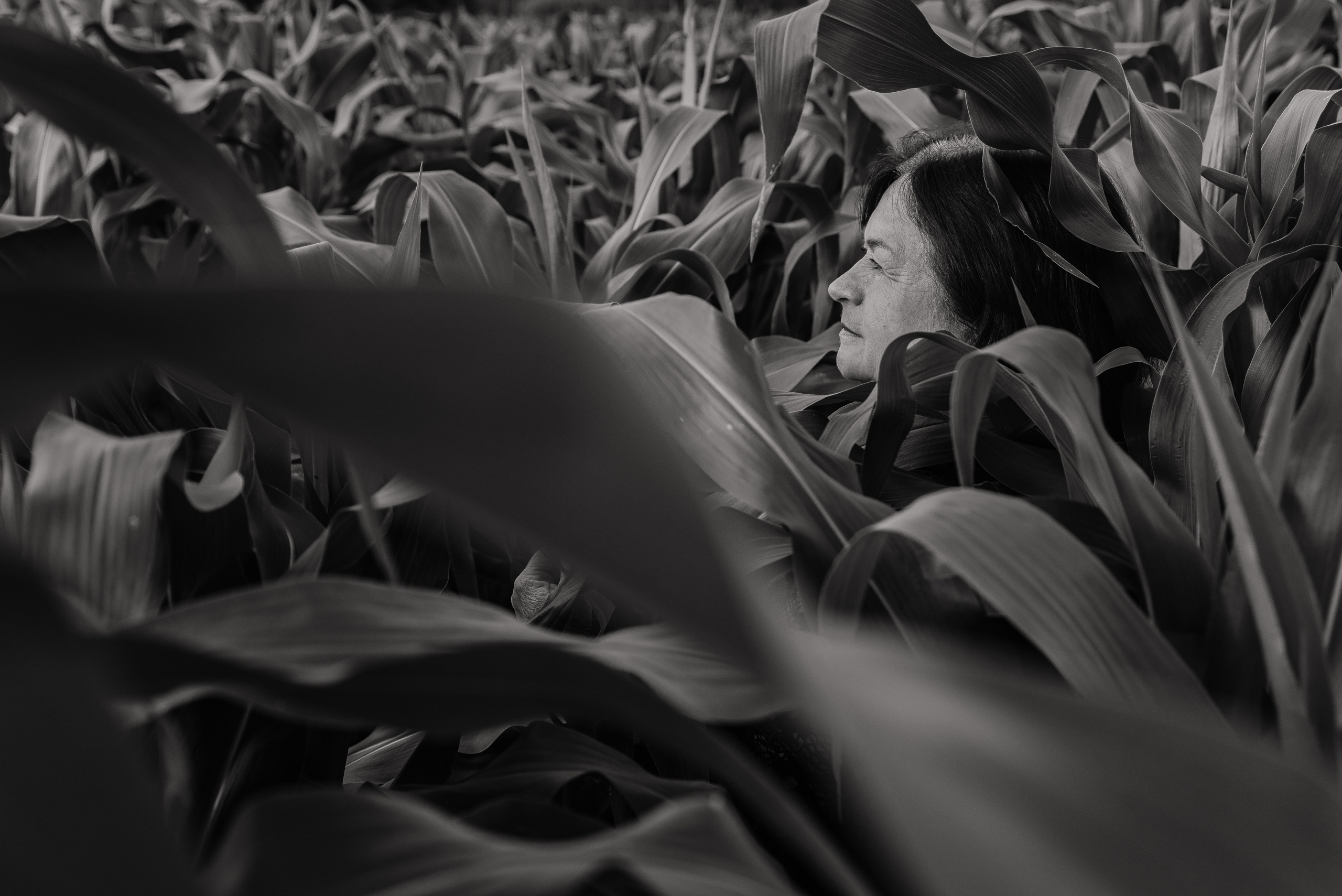 Елена. Свадебный и семейный фотограф в городе Смоленске