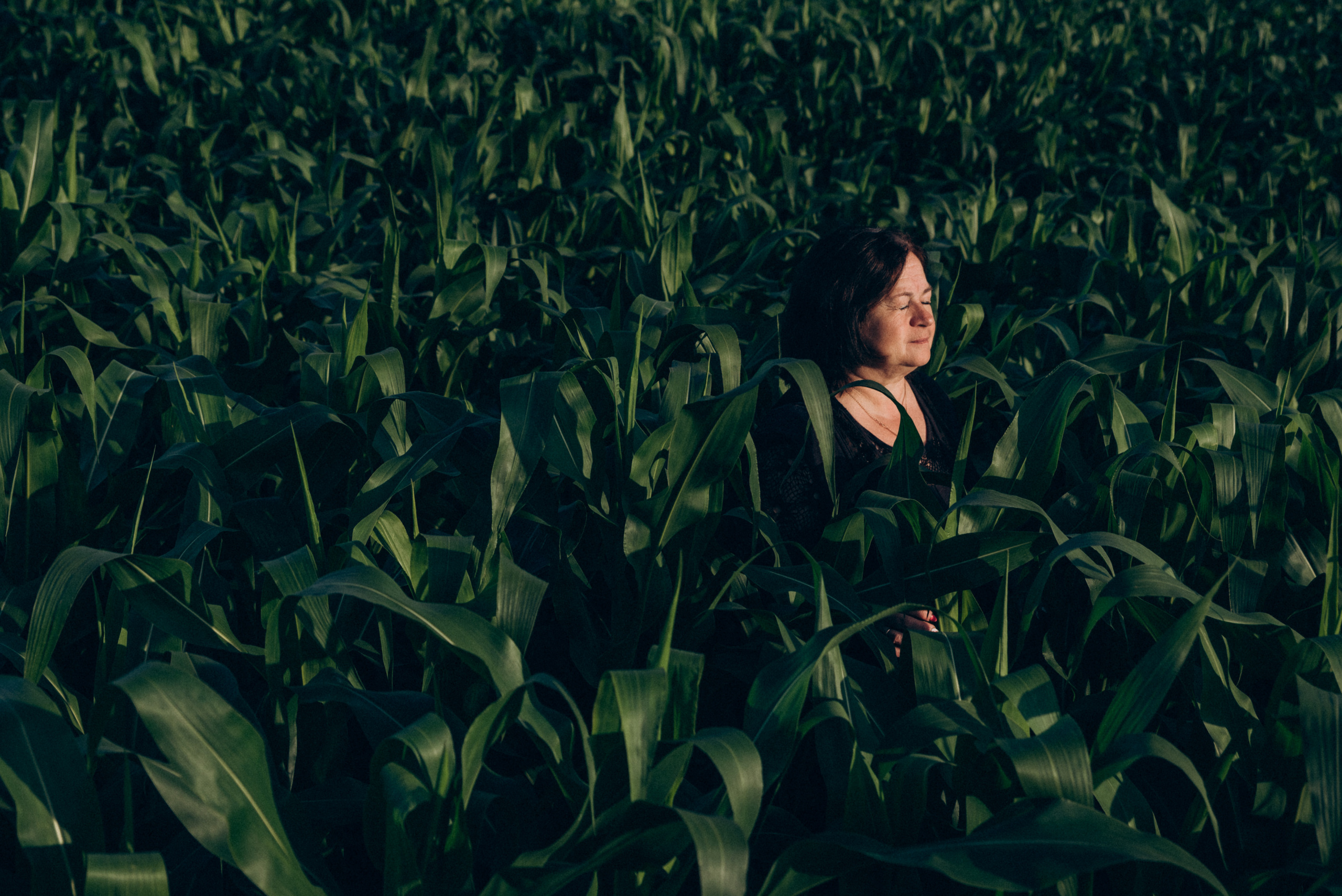 Елена. Свадебный и семейный фотограф в городе Смоленске