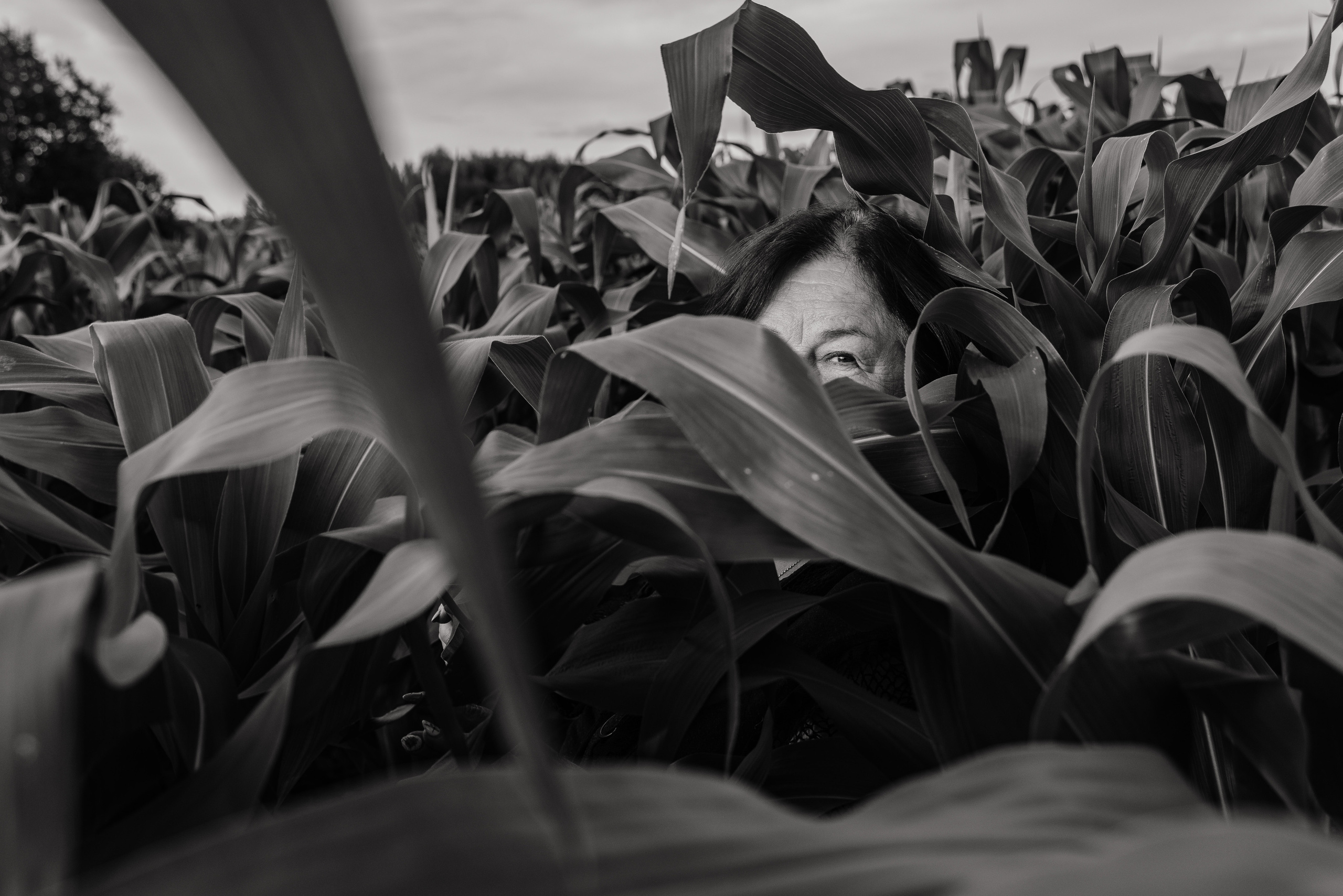 Елена. Свадебный и семейный фотограф в городе Смоленске