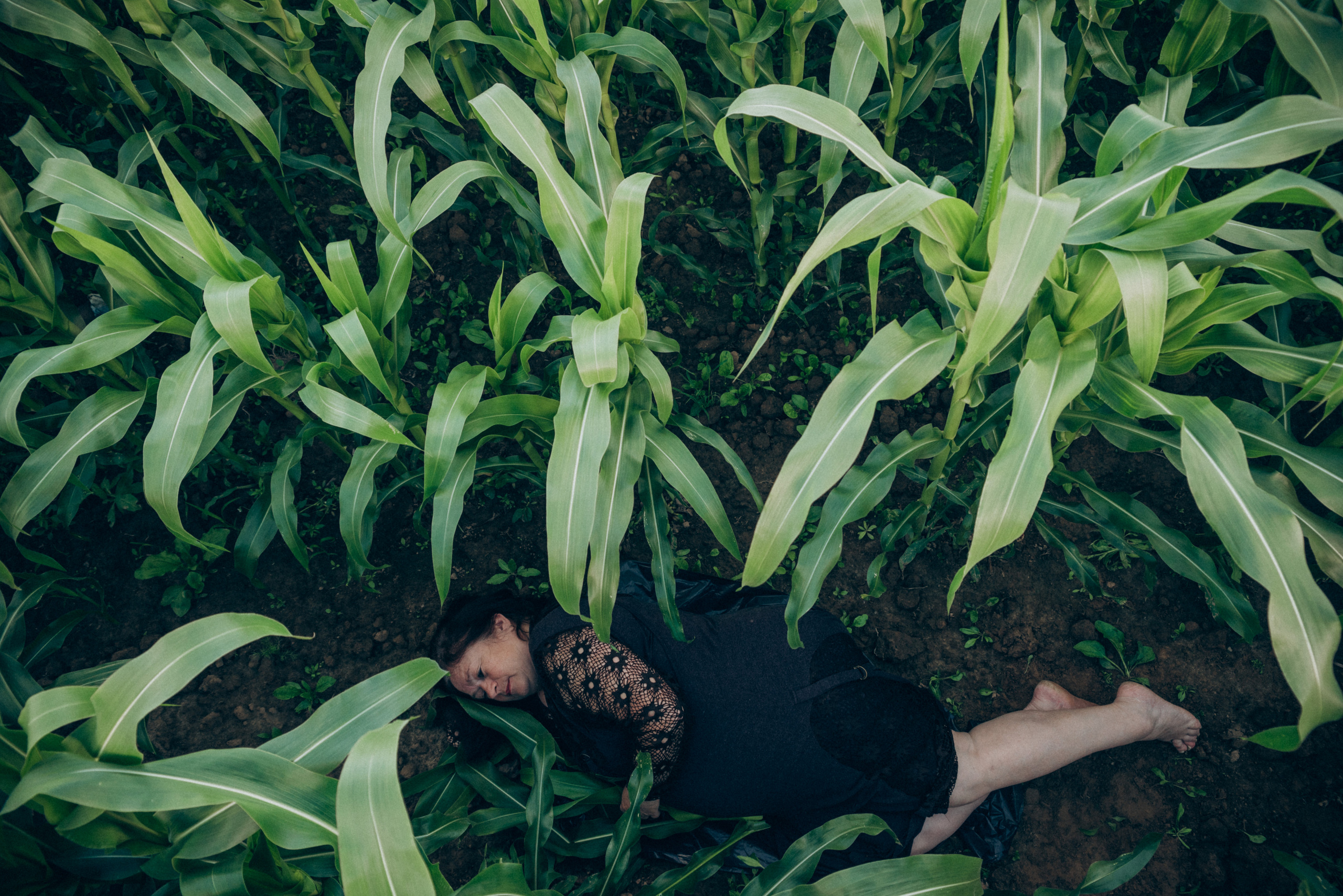 Елена. Свадебный и семейный фотограф в городе Смоленске