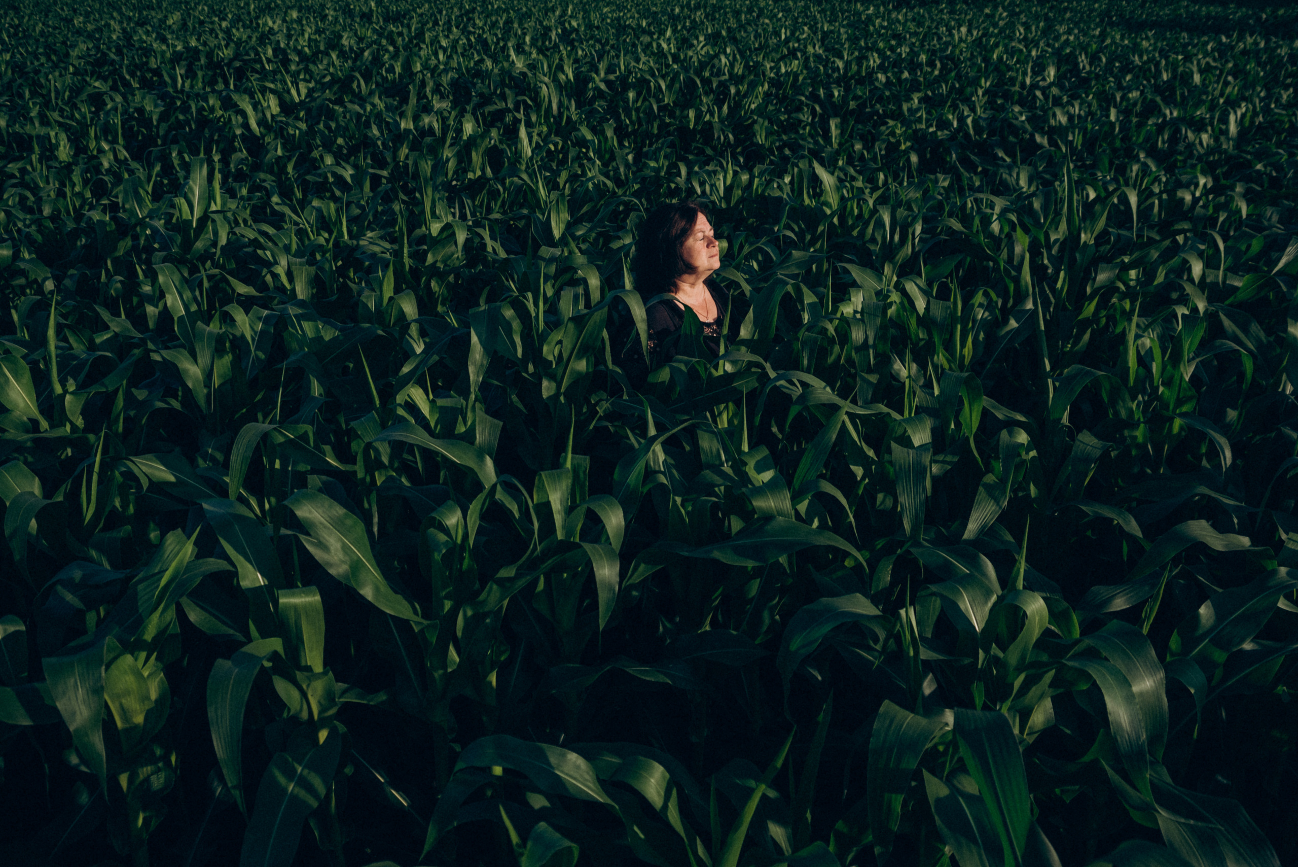 Елена. Свадебный и семейный фотограф в городе Смоленске