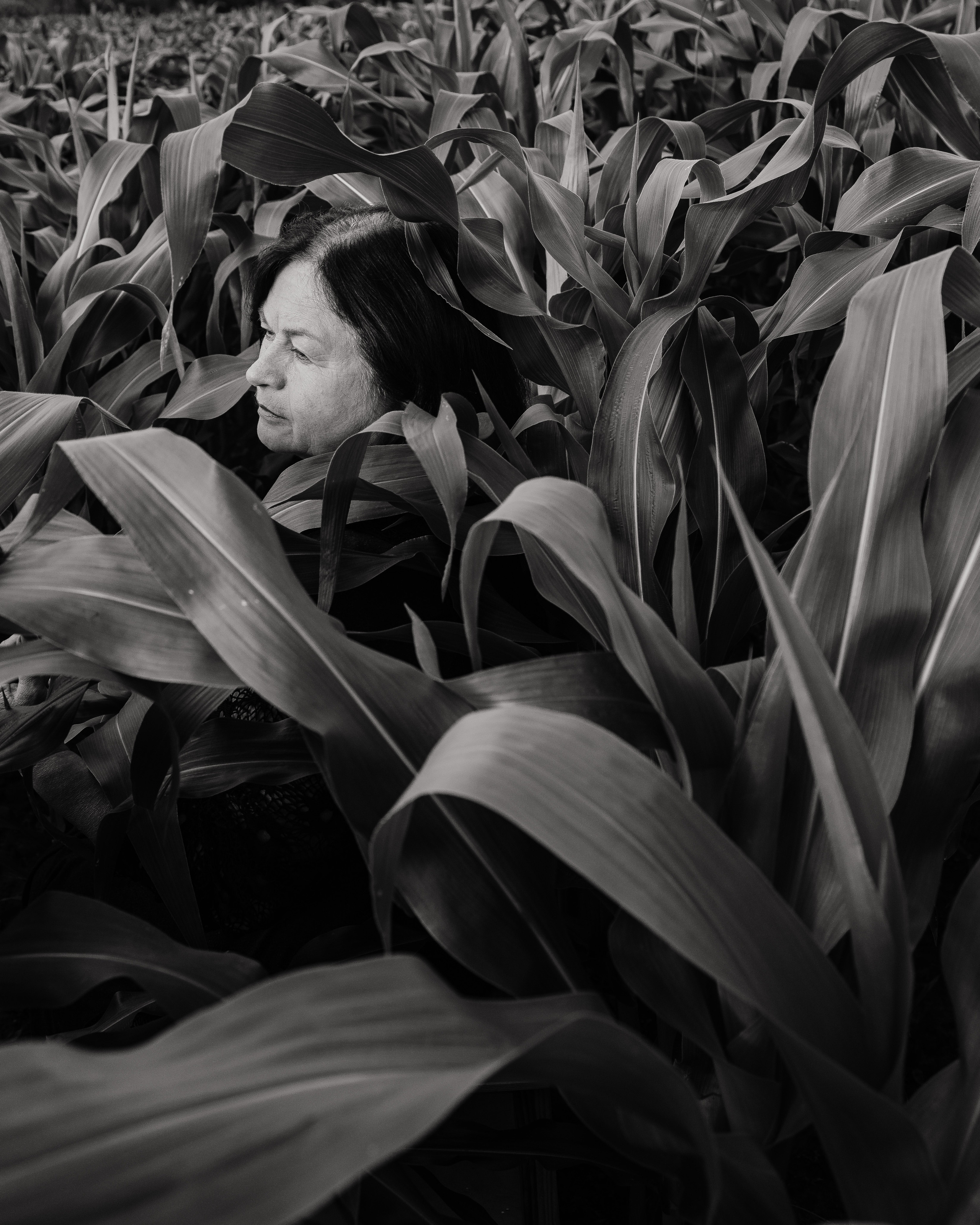 Елена. Свадебный и семейный фотограф в городе Смоленске