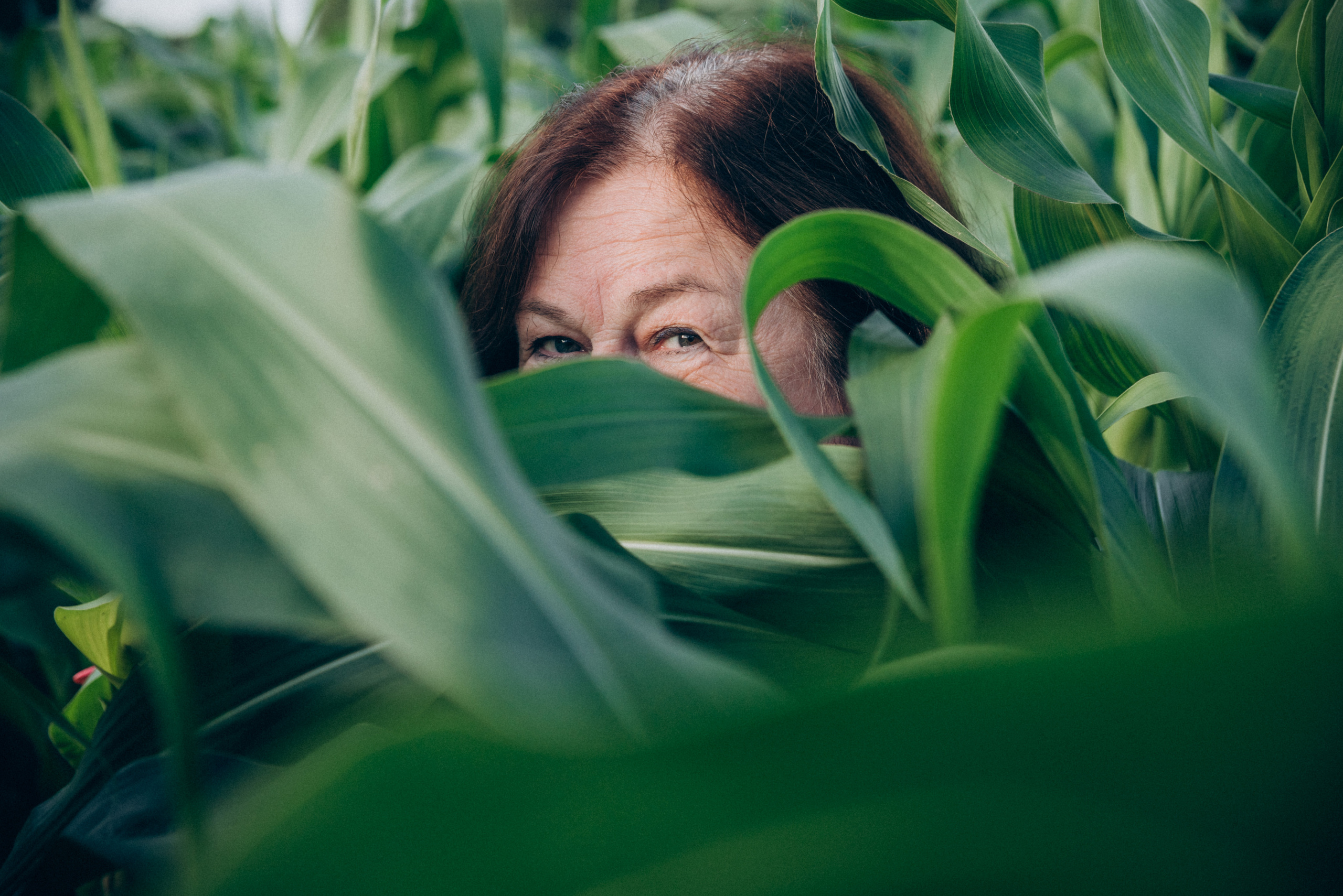 Елена. Свадебный и семейный фотограф в городе Смоленске