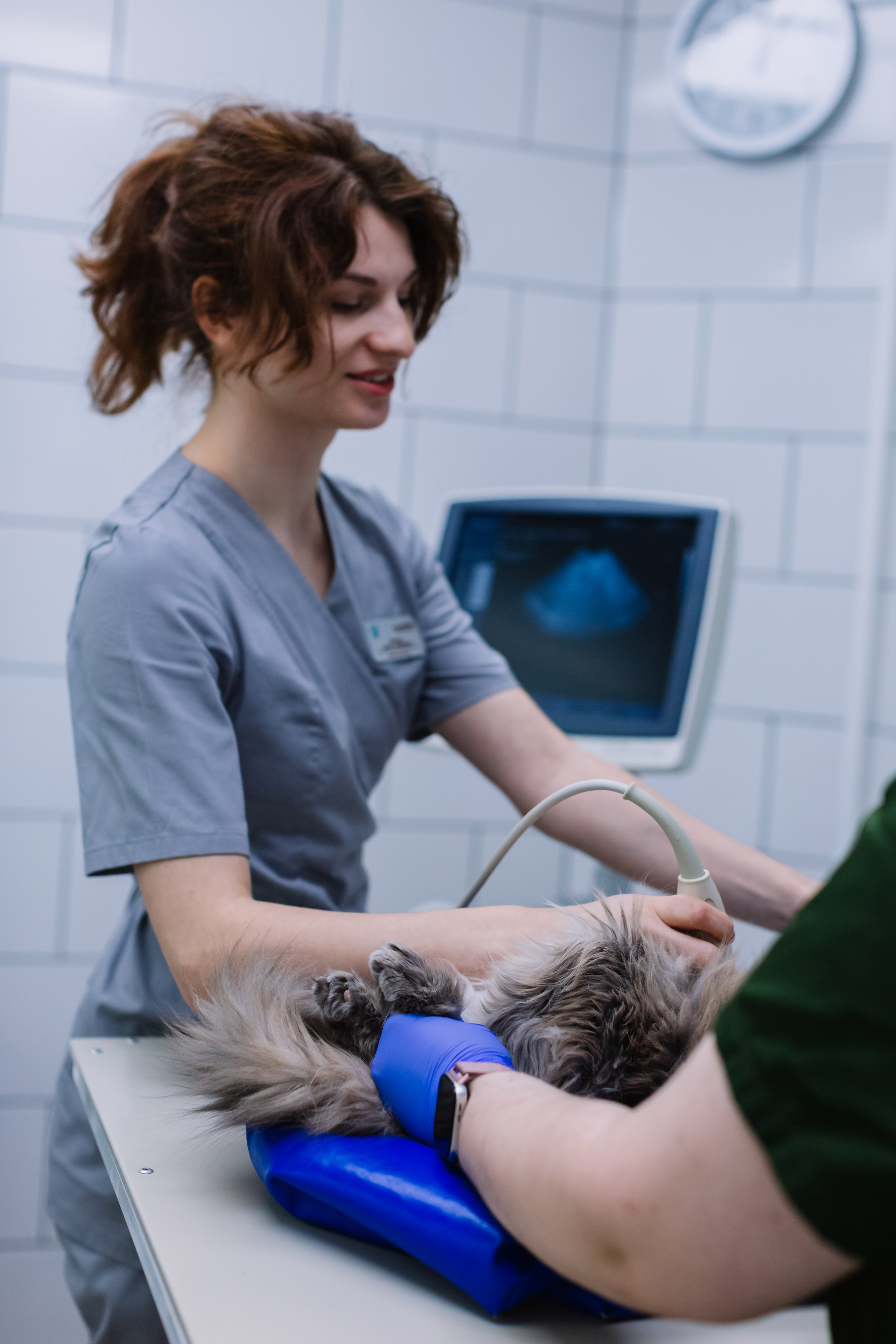 Контент съёмка. Семейный и детский фотограф в Новосибирске Алёна Малахова