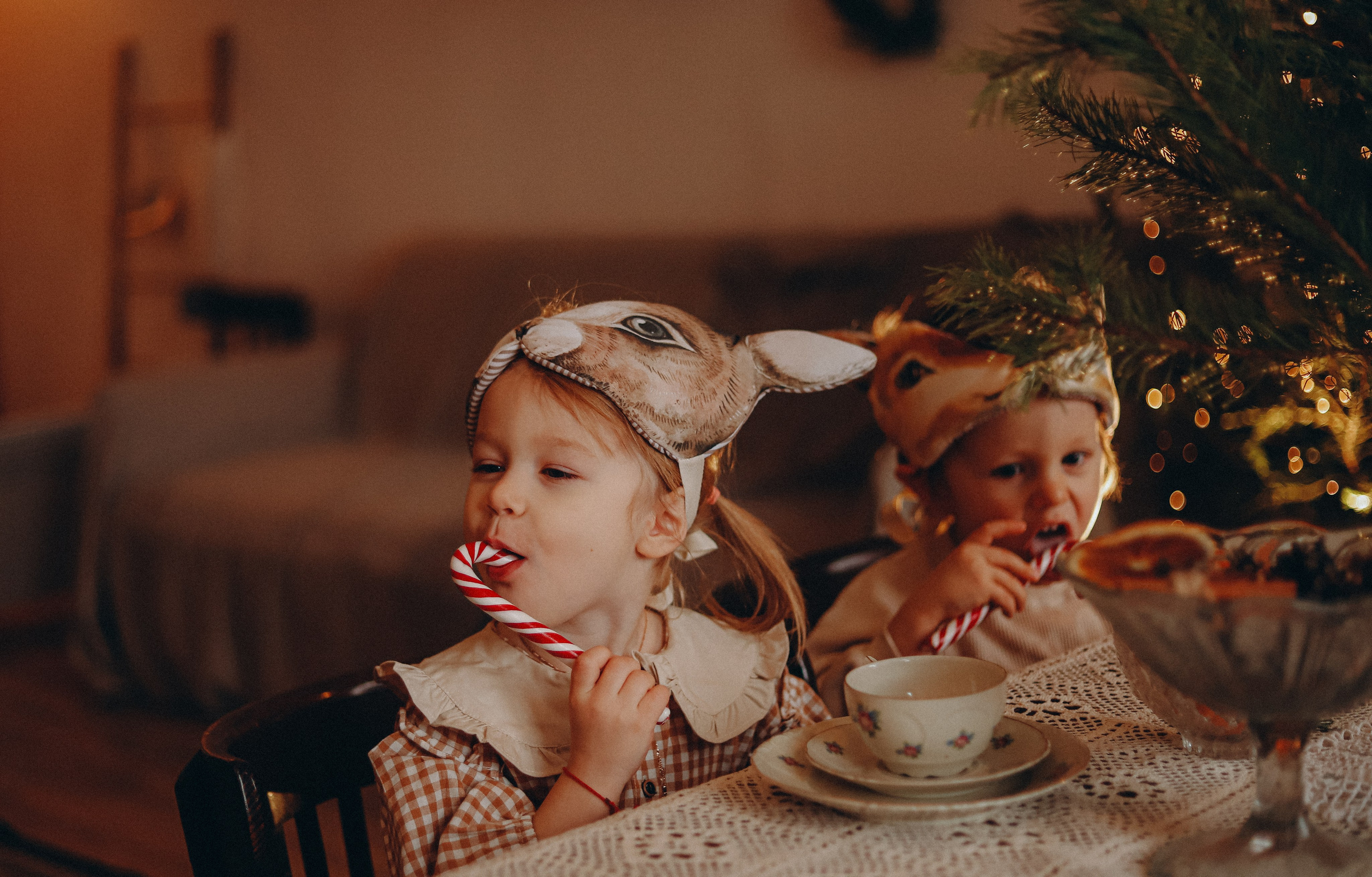 Семейная фотосессия в студии СПб. Услуги