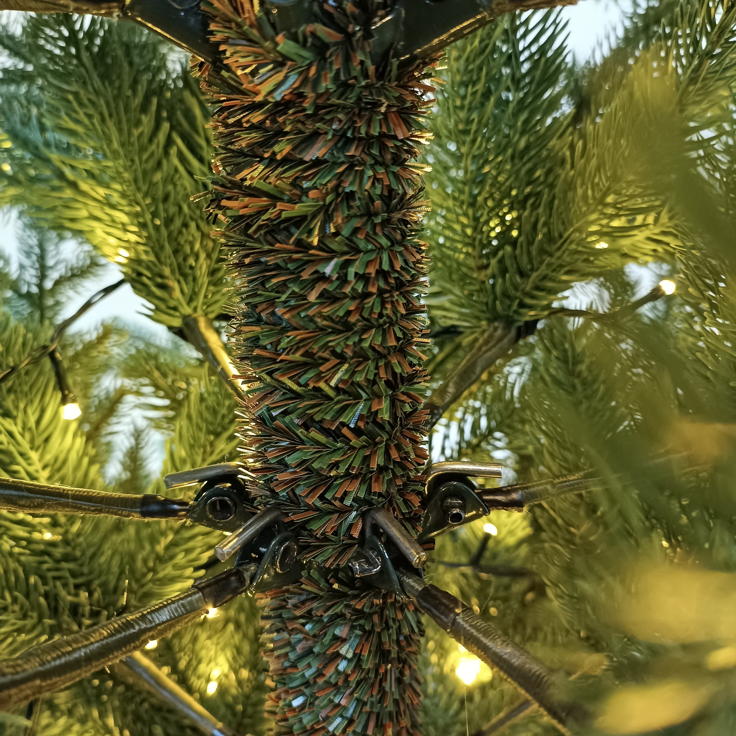 ВЕРСАЛЬСКАЯ с огоньками. Elki_grodno